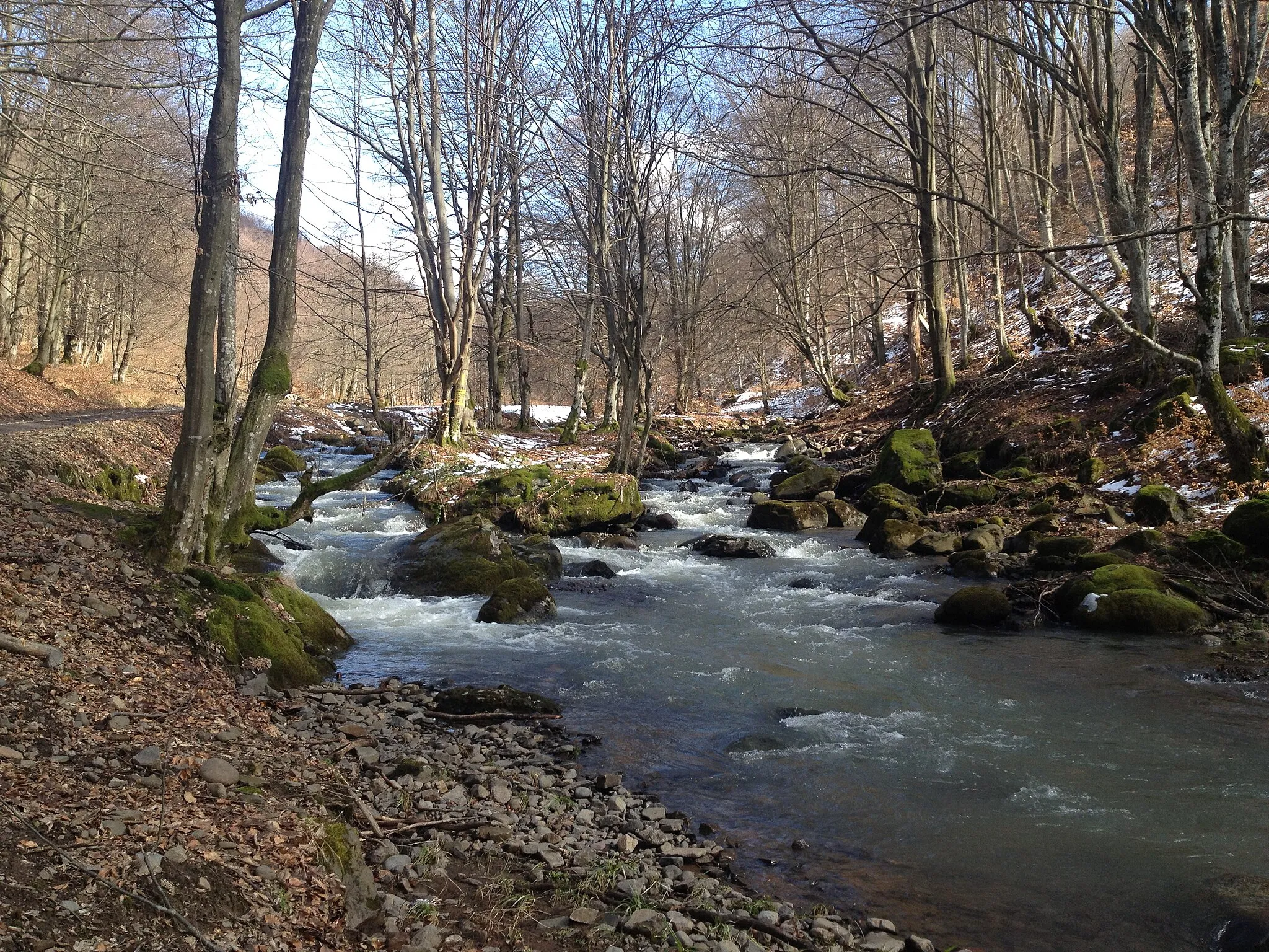 Photo showing: Râul Tur, primăvara 2013, după dezgheț. Locație, Negrești Oaș, Țara Oașului, România.