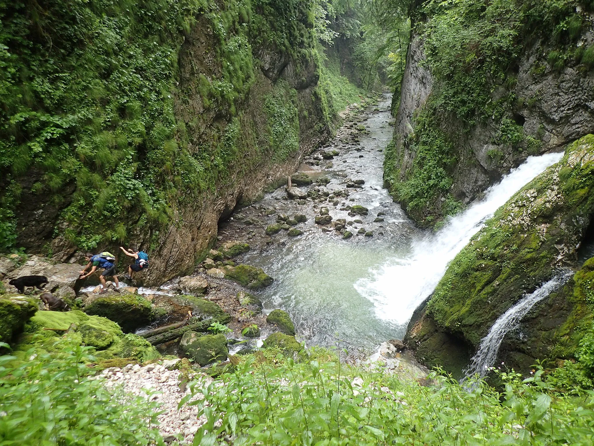 Photo showing: The Fan Waterfall from Galbena Gorge (Romania)