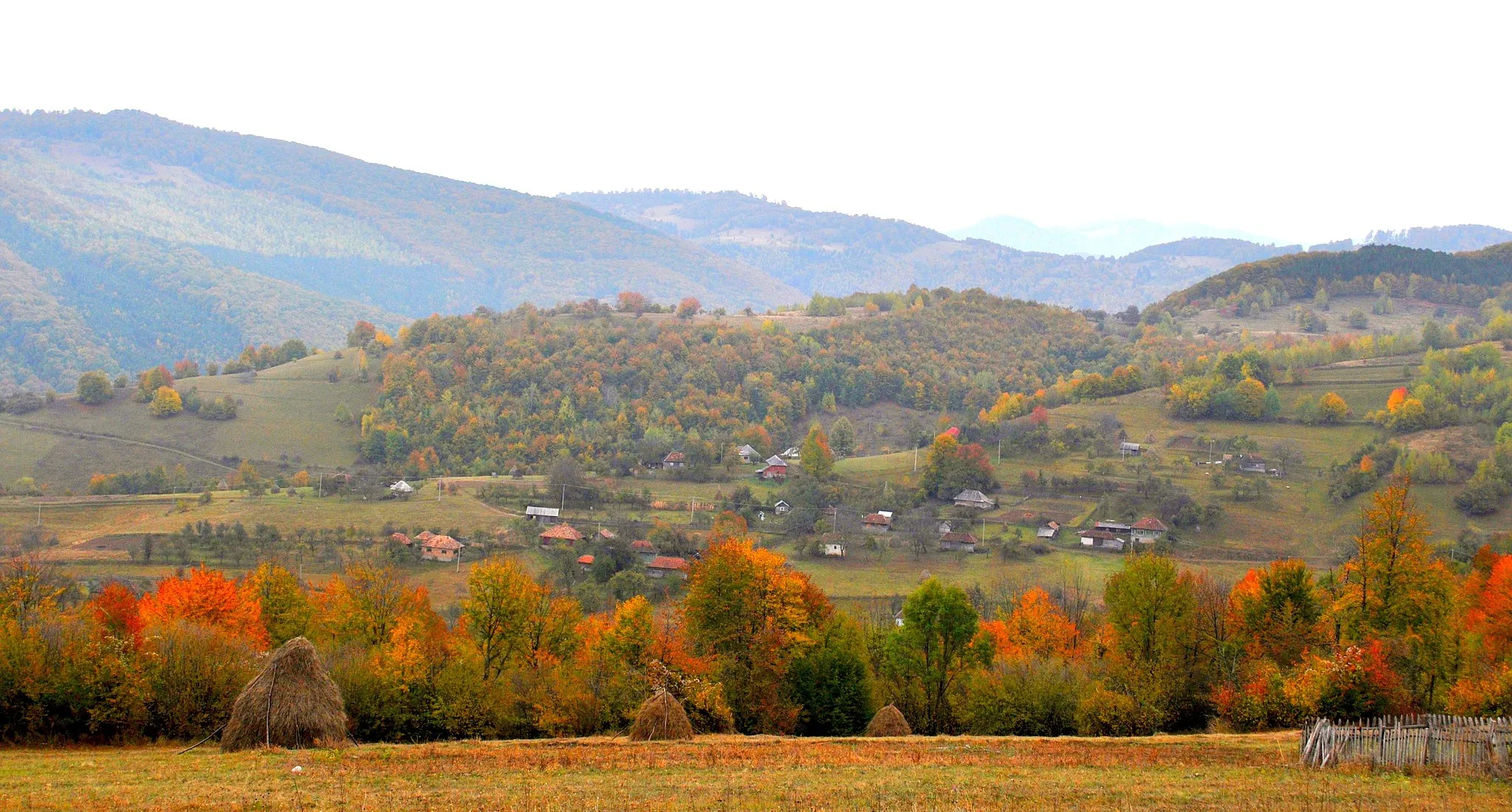Photo showing: Damiş, Bihor County, Romania