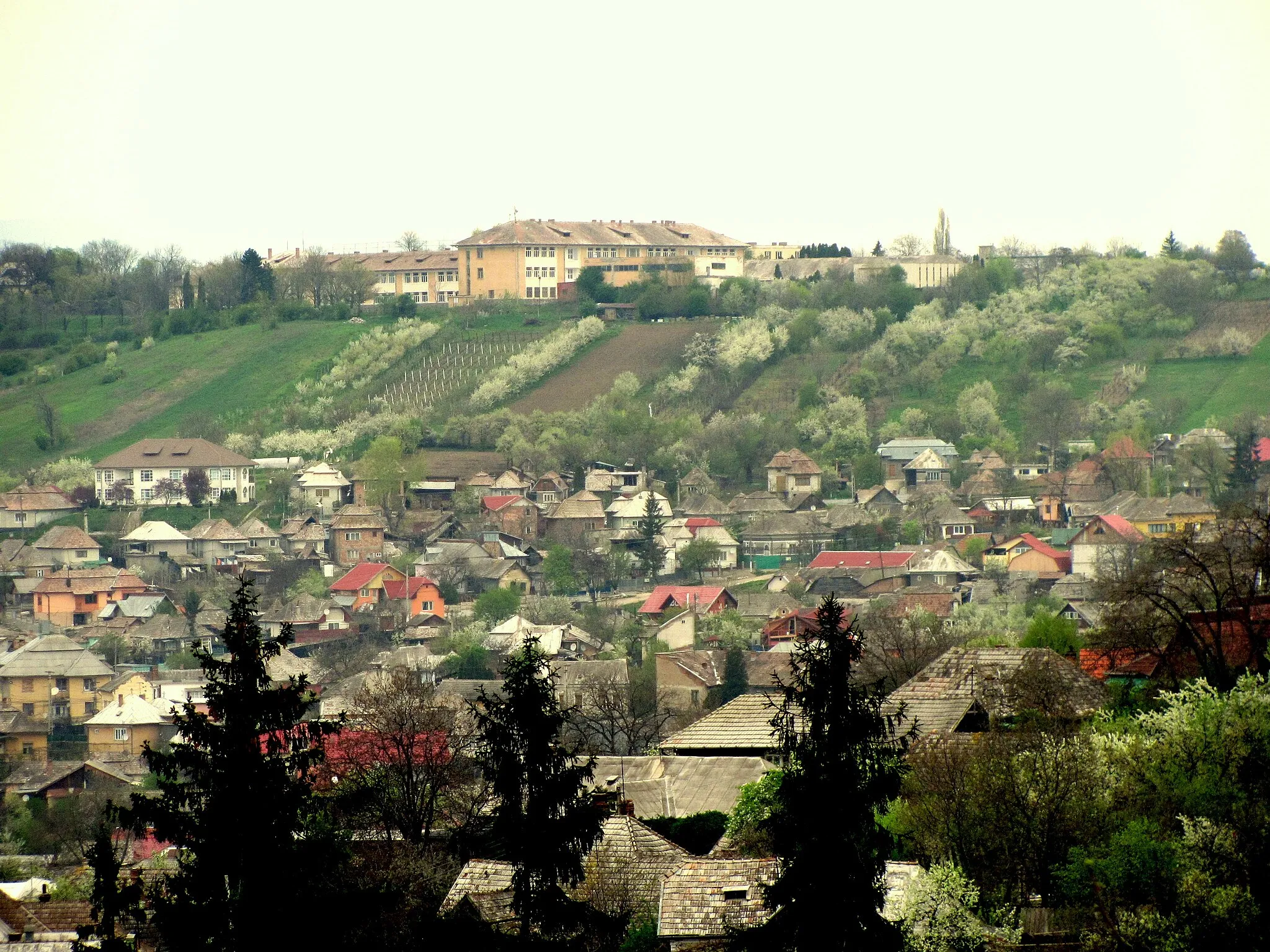 Photo showing: Panorama seen from College "Emil Negrutiu"