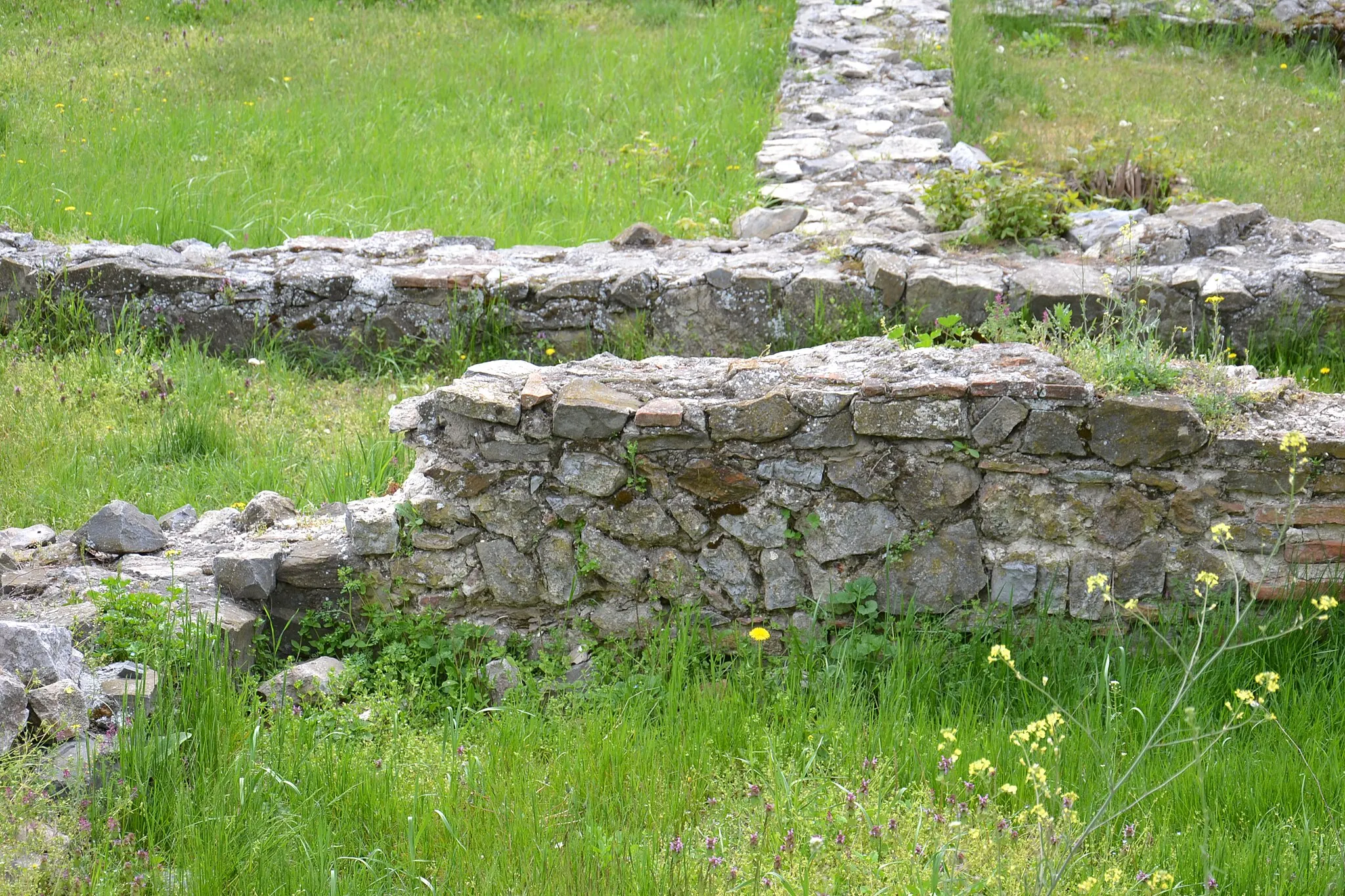 Photo showing: Situl arheologic "Aegyssus"