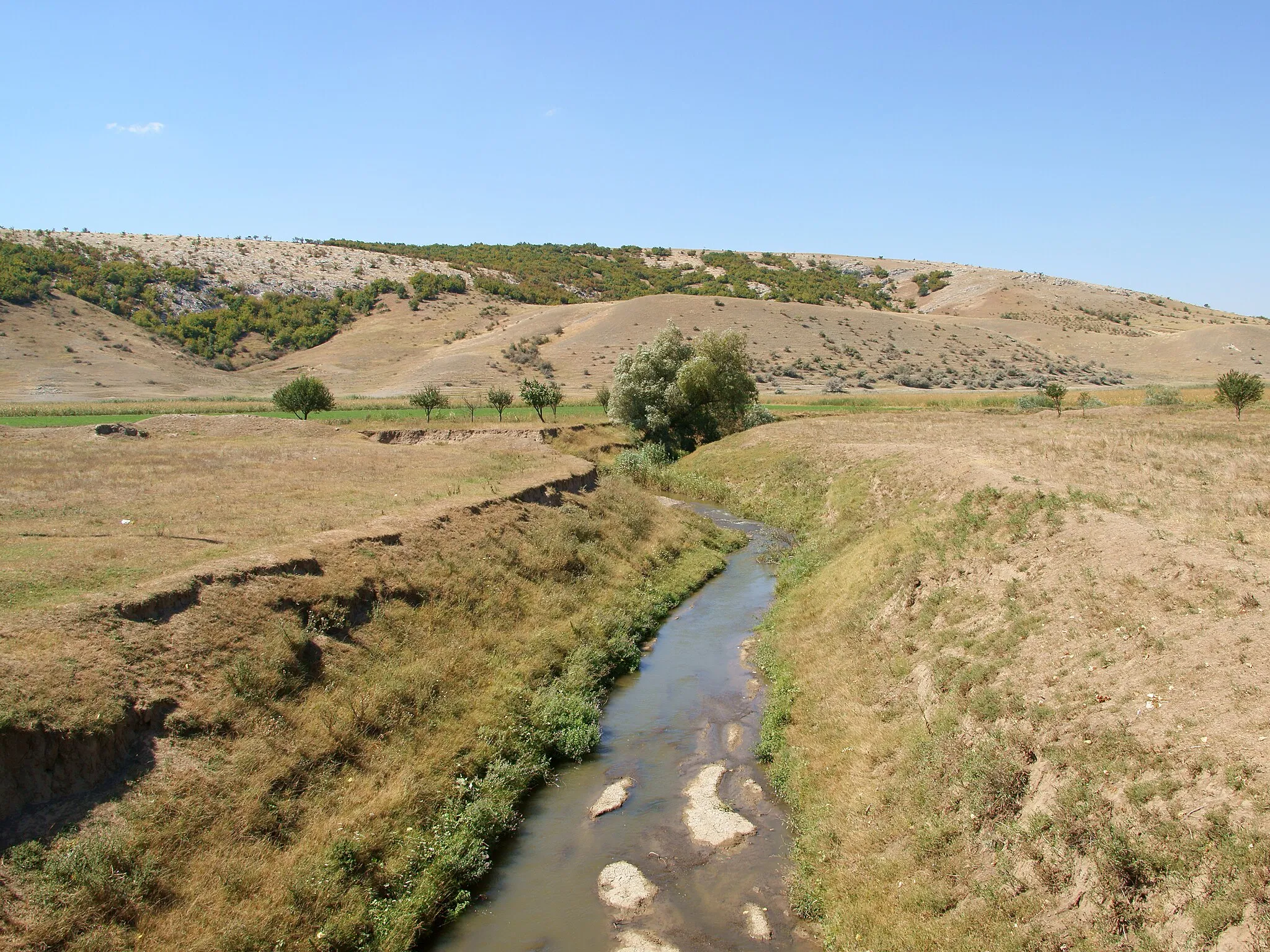 Photo showing: River Casimcea near Cheia, looking north.