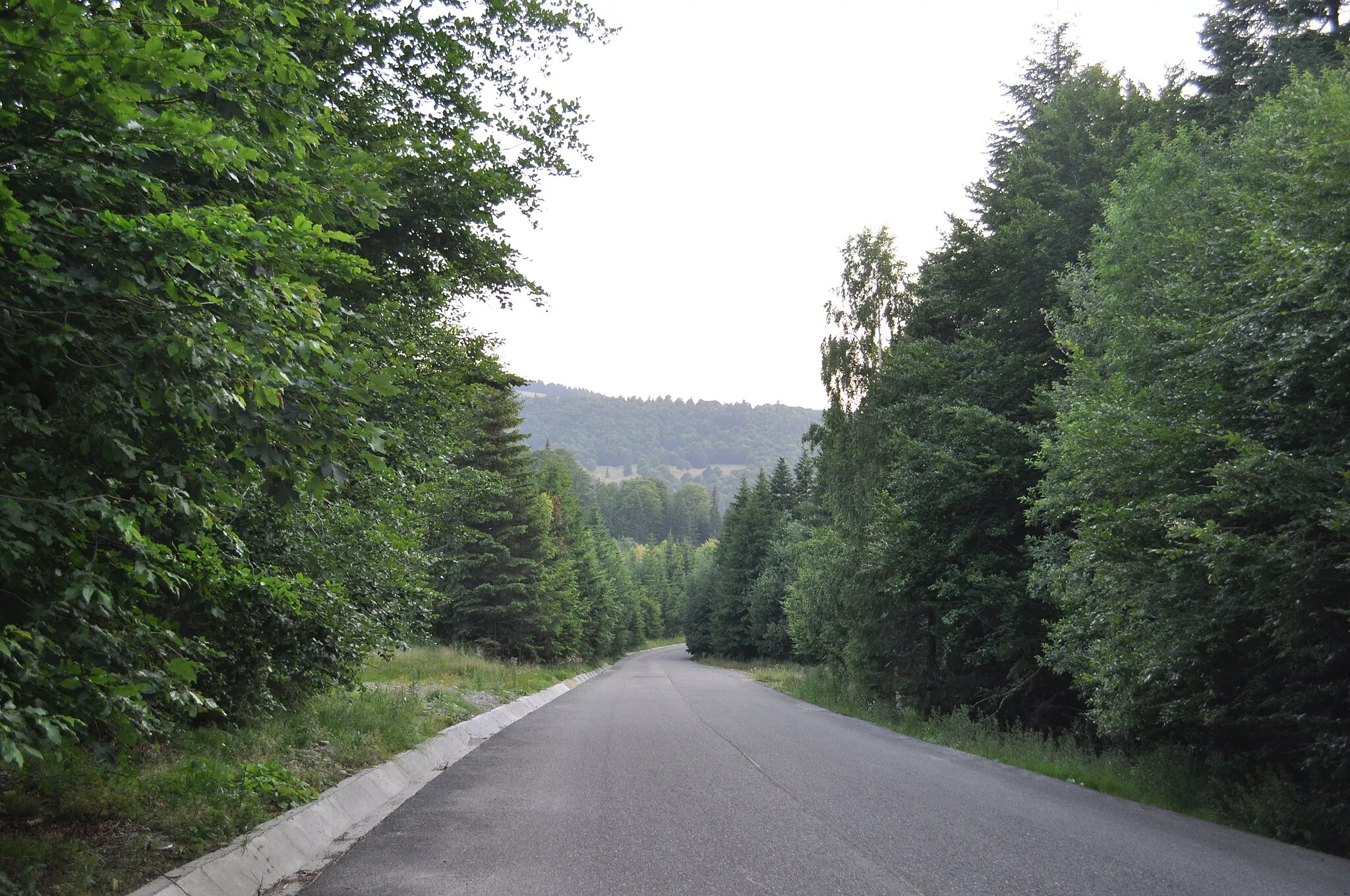 Photo showing: Greșu, Vrancea