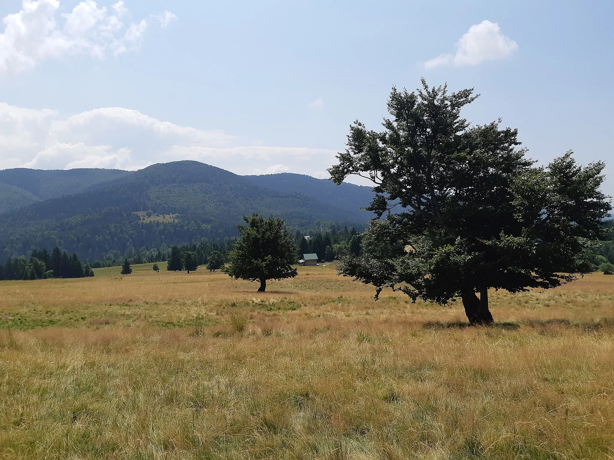 Photo showing: Muşat Pass from Vrancea Mountains (Romania)