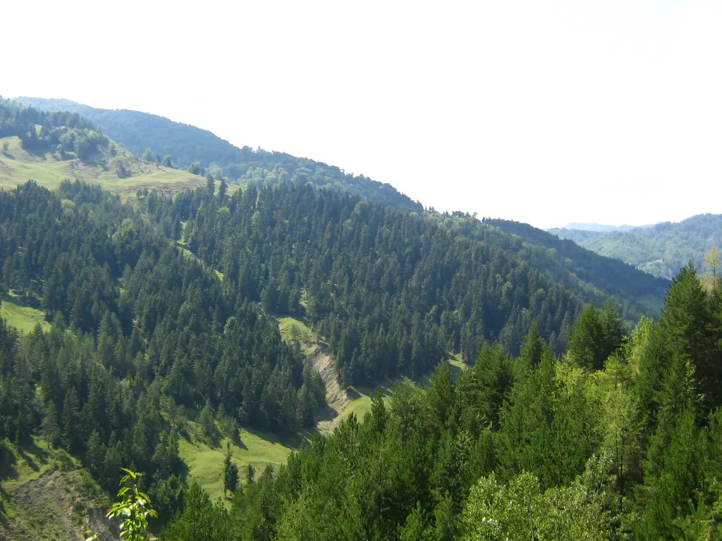 Photo showing: Natural reserve Focul Viu de la Andreiașu de Jos, Vrancea county, Romania