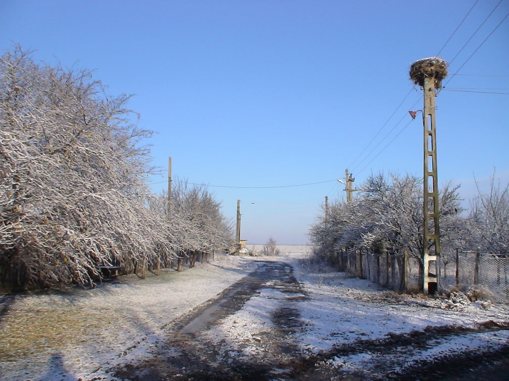 Photo showing: A street in the Ioneşti village, Brăila County, Romania