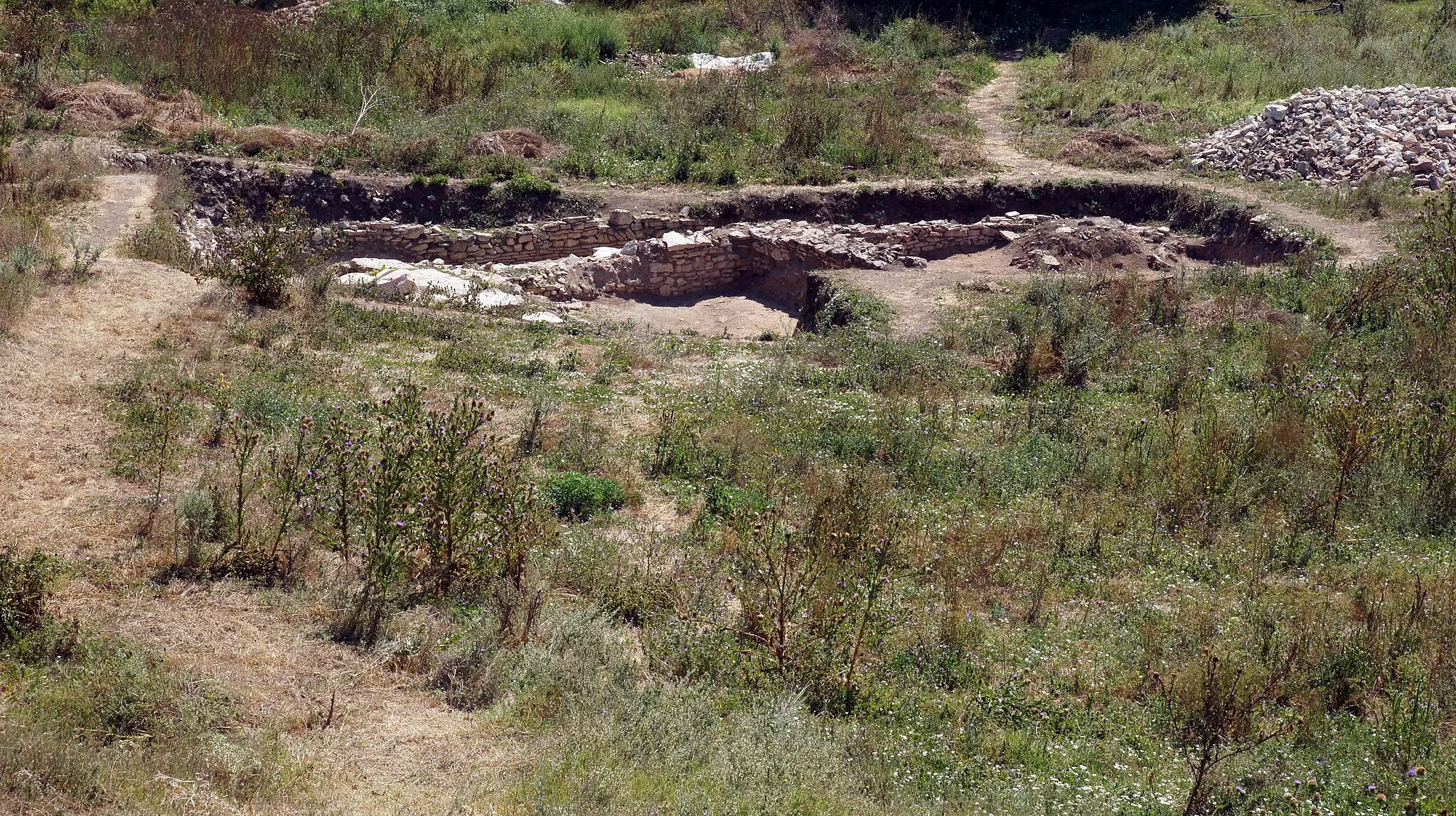 Photo showing: Cetatea Ibida