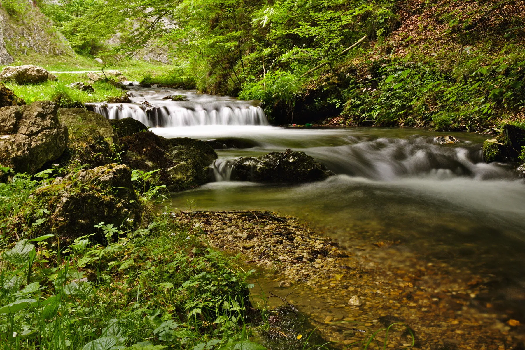 Photo showing: 500px provided description: Water comes along, flowing [#landscape ,#water ,#nature ,#river ,#travel ,#rock ,#tree ,#fall ,#leaf ,#wood ,#waterfall ,#mountain ,#stream ,#flow ,#outdoors ,#moss ,#wet ,#wild ,#creek ,#no person]