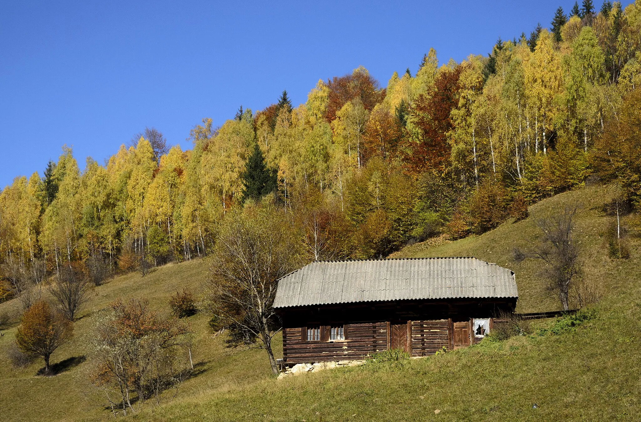 Photo showing: Peștera, Romania