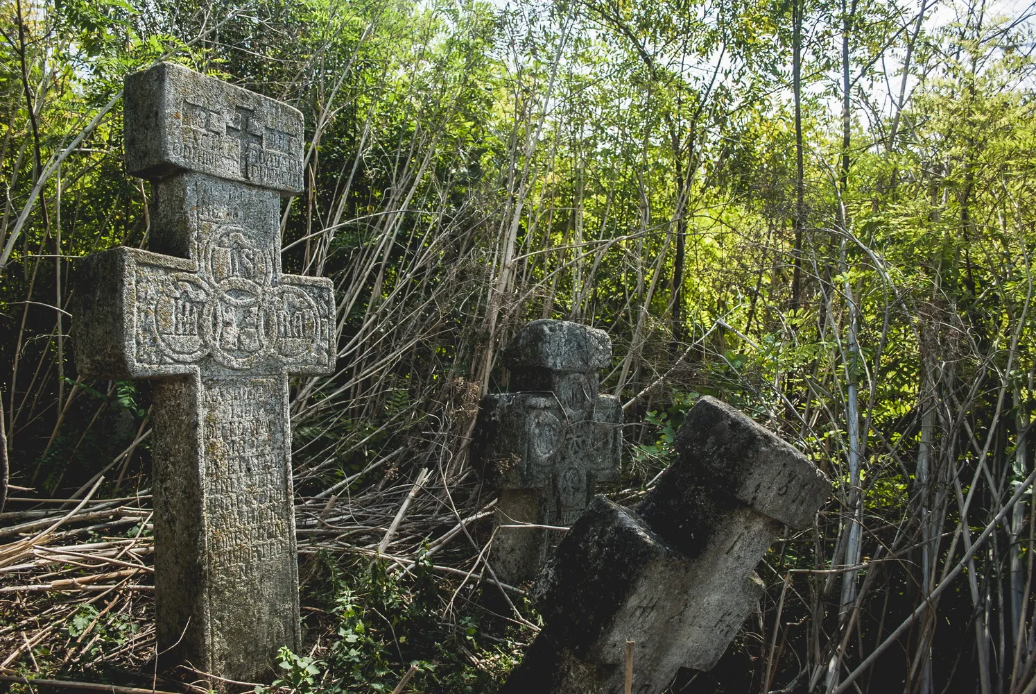 Photo showing: „Cimitirul afurisit”, în partea de est a satului Lehliu, pe malul lacului Lehliu, sec. XVIII - XX