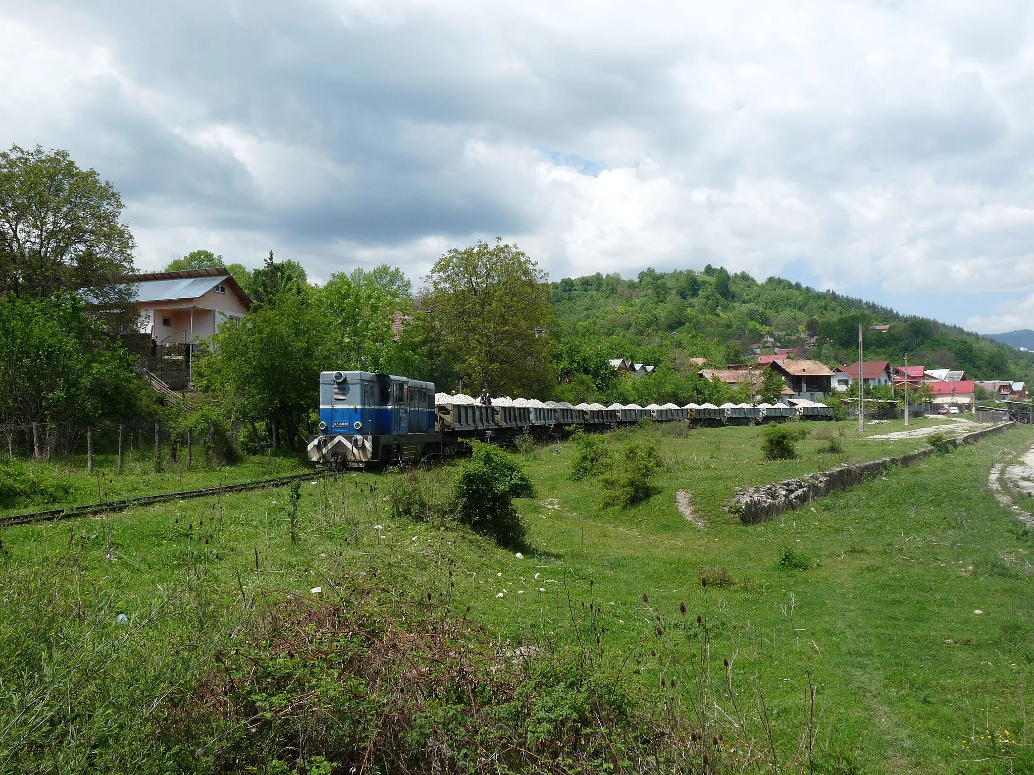 Photo showing: Smalspoor goederntrein in Pietroșița