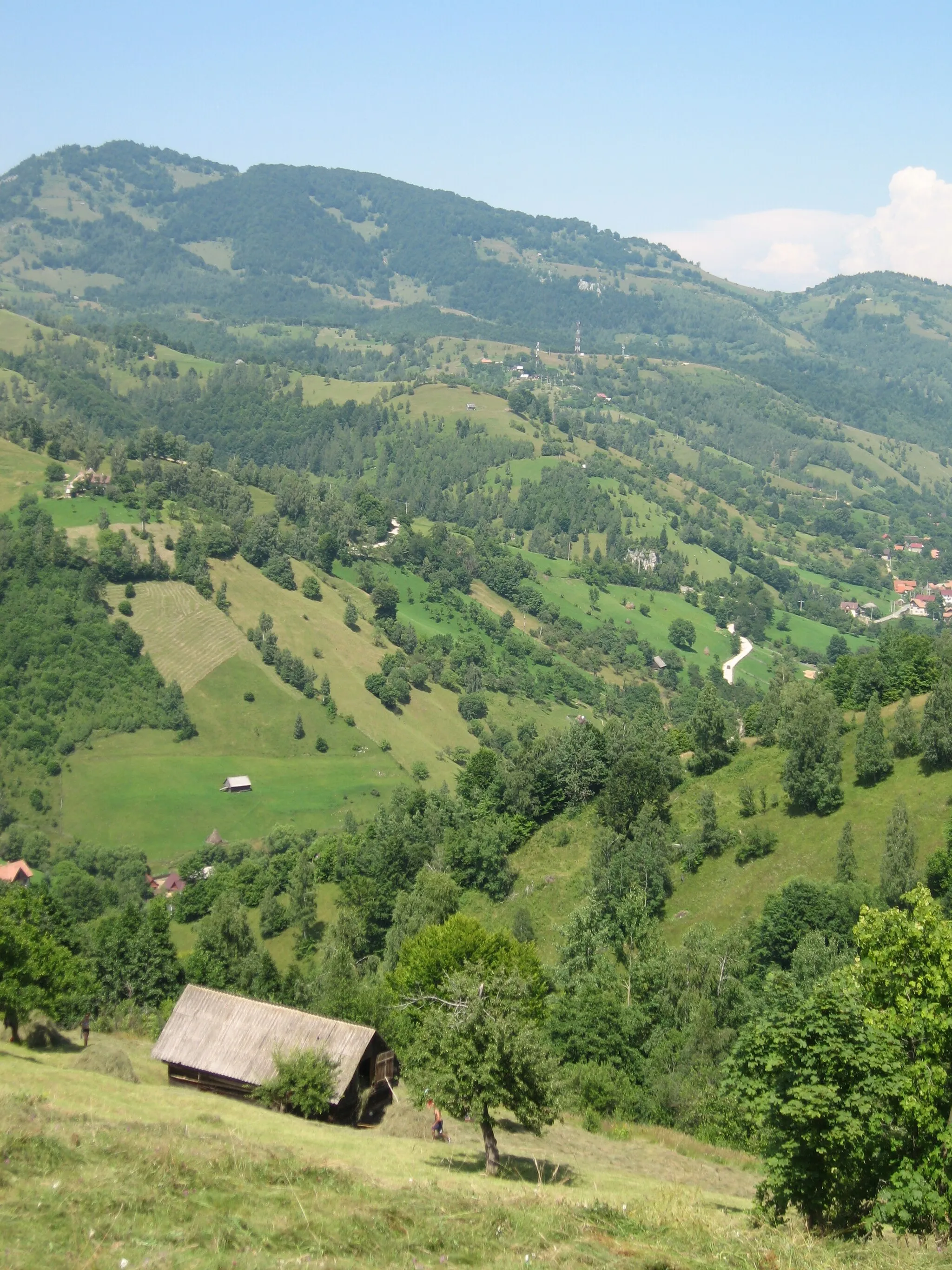 Photo showing: Hay barn