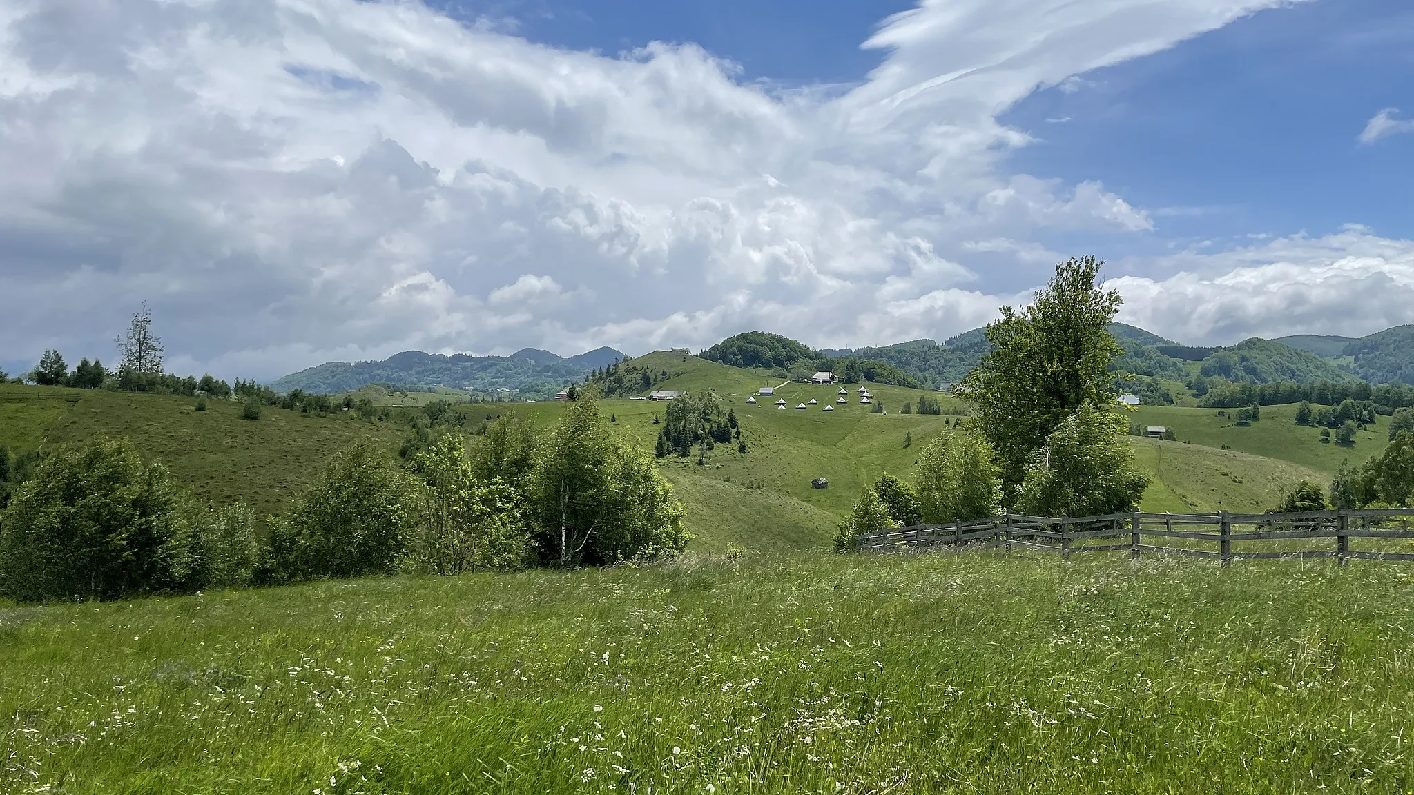 Photo showing: Pajiste din satul Ciocanu, Argeș