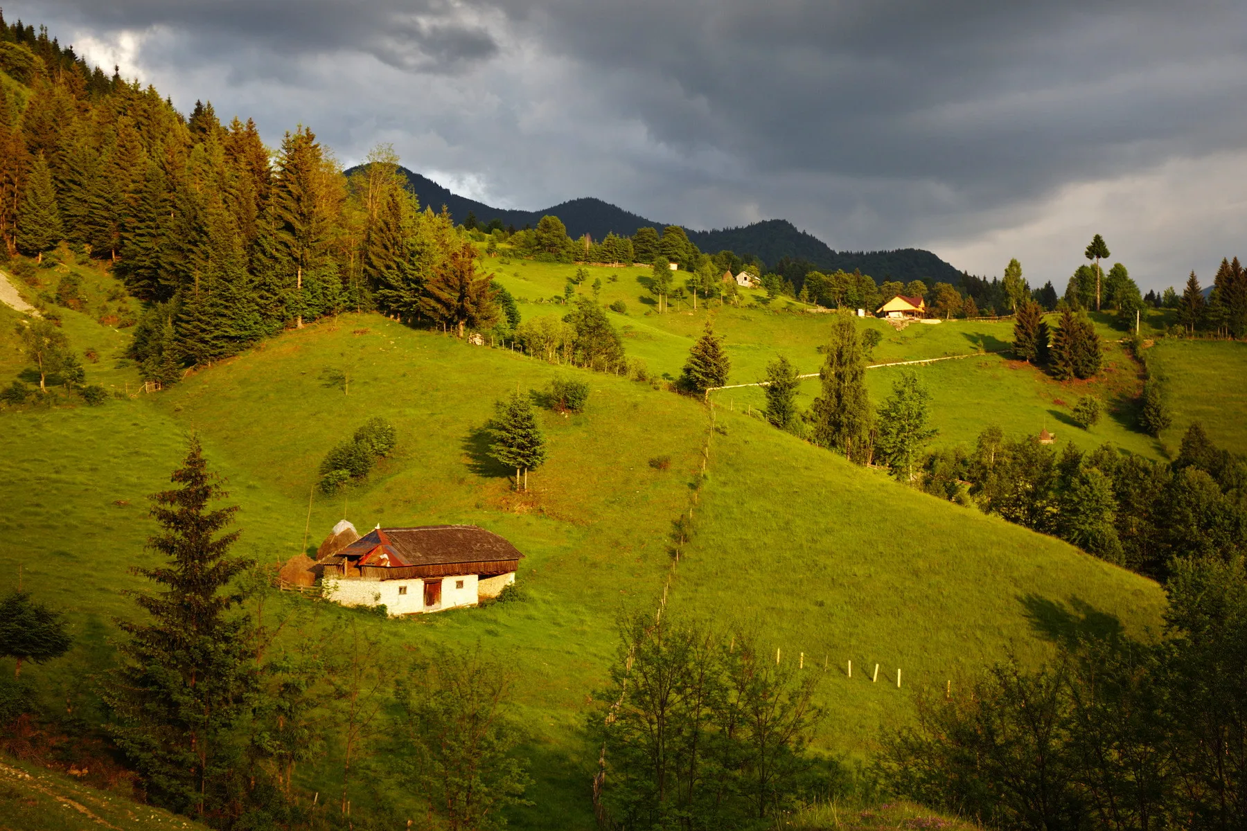 Photo showing: 500px provided description: Once again, over the hills [#sky ,#landscape ,#nature ,#travel ,#tree ,#grass ,#wood ,#mountain ,#valley ,#hill ,#outdoors ,#daylight ,#scenic ,#no person]