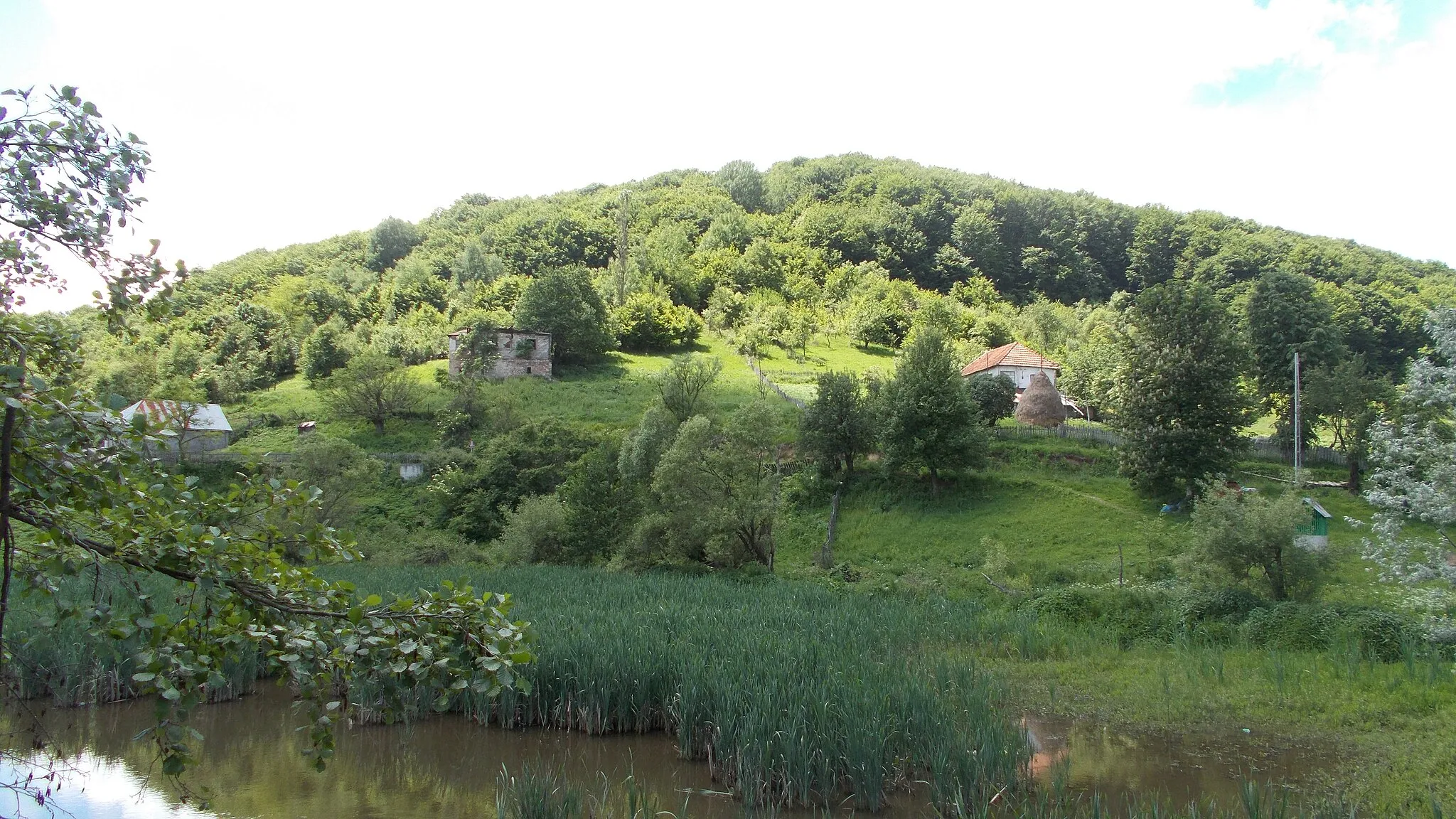 Photo showing: Rezervația naturală Cornetul Bălții