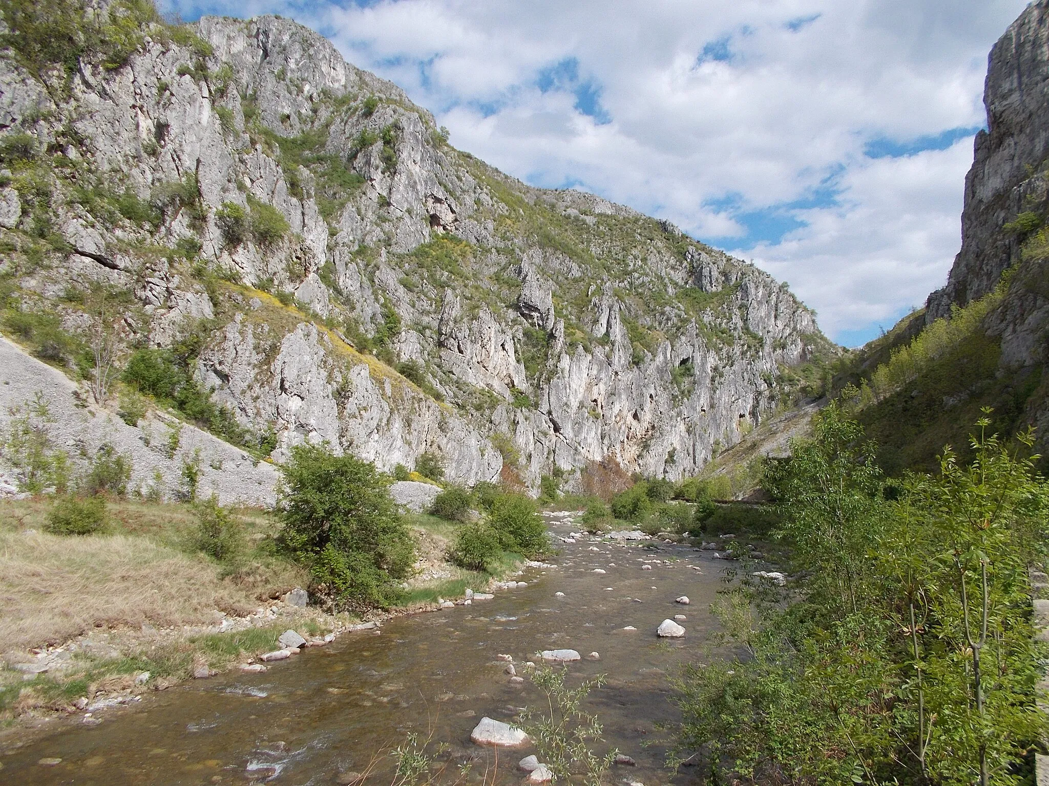 Photo showing: Cheile Sohodolului, arie protejată (de interes național) aflată în județul Gorj, pe teritoriul administrativ al comunei Runcu.