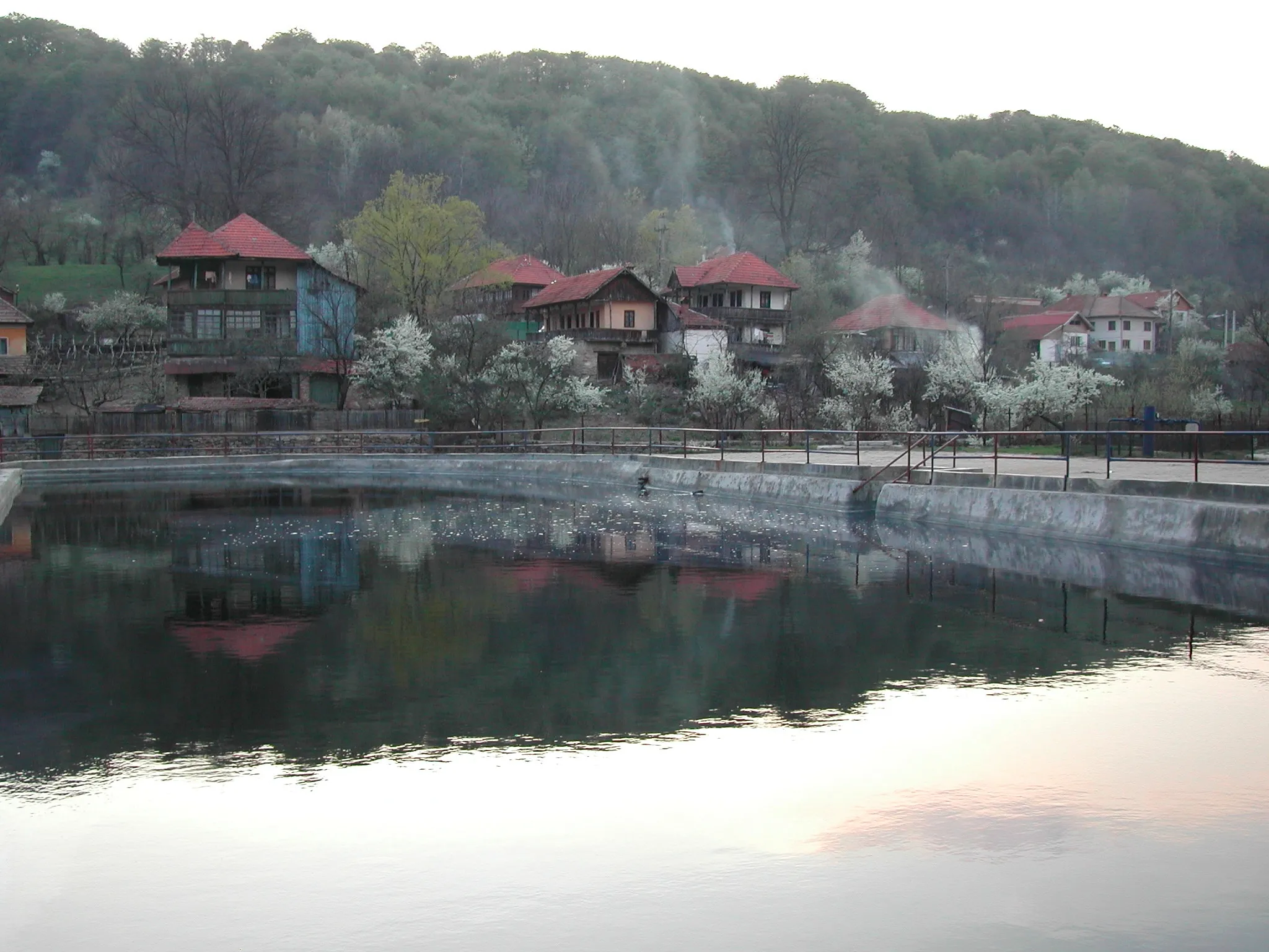 Photo showing: Izvoarele_minerale_Săcelu Județul Gorj.- România,