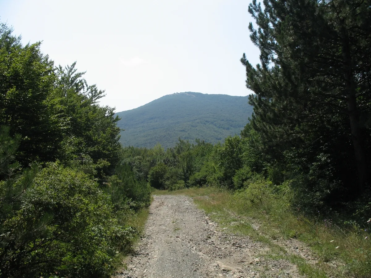 Photo showing: Deli Jovan mountain in eastern Serbia, near Negotin