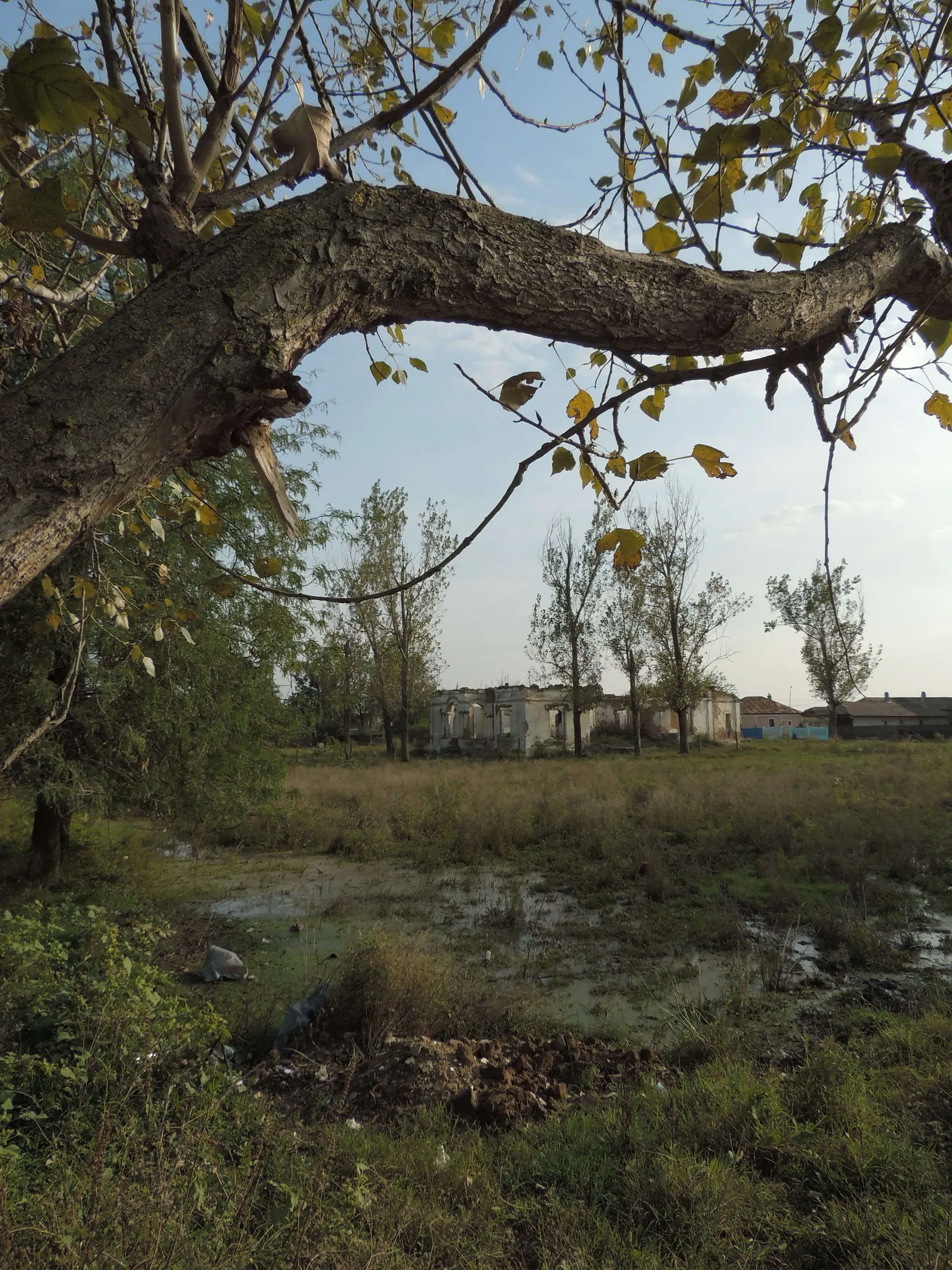 Photo showing: This is a photo of a historic monument in județul Olt, classified with number OT-II-a-B-08960.