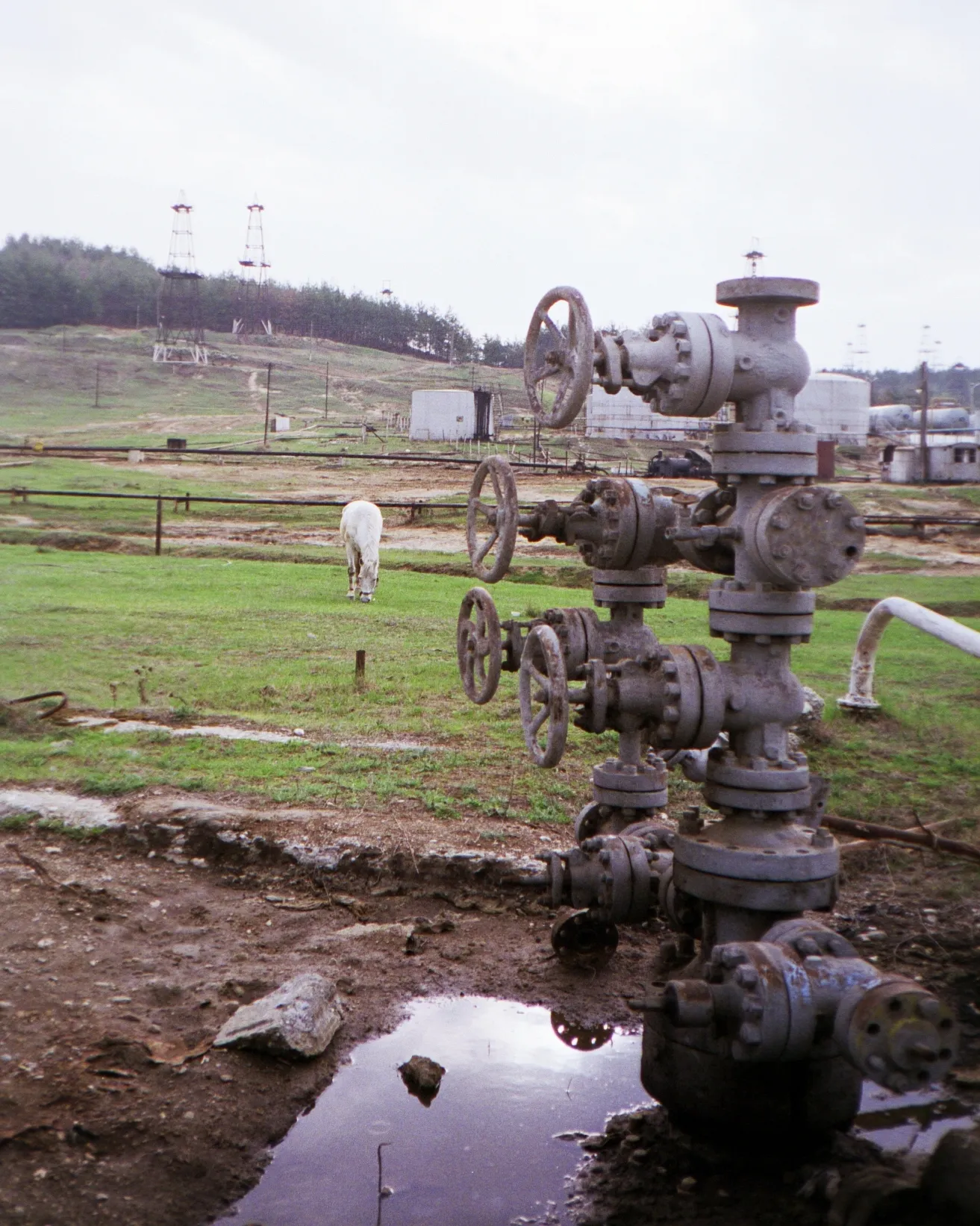 Photo showing: Puțuri de petrol din sat Țicleni, Județul Gorj.- România