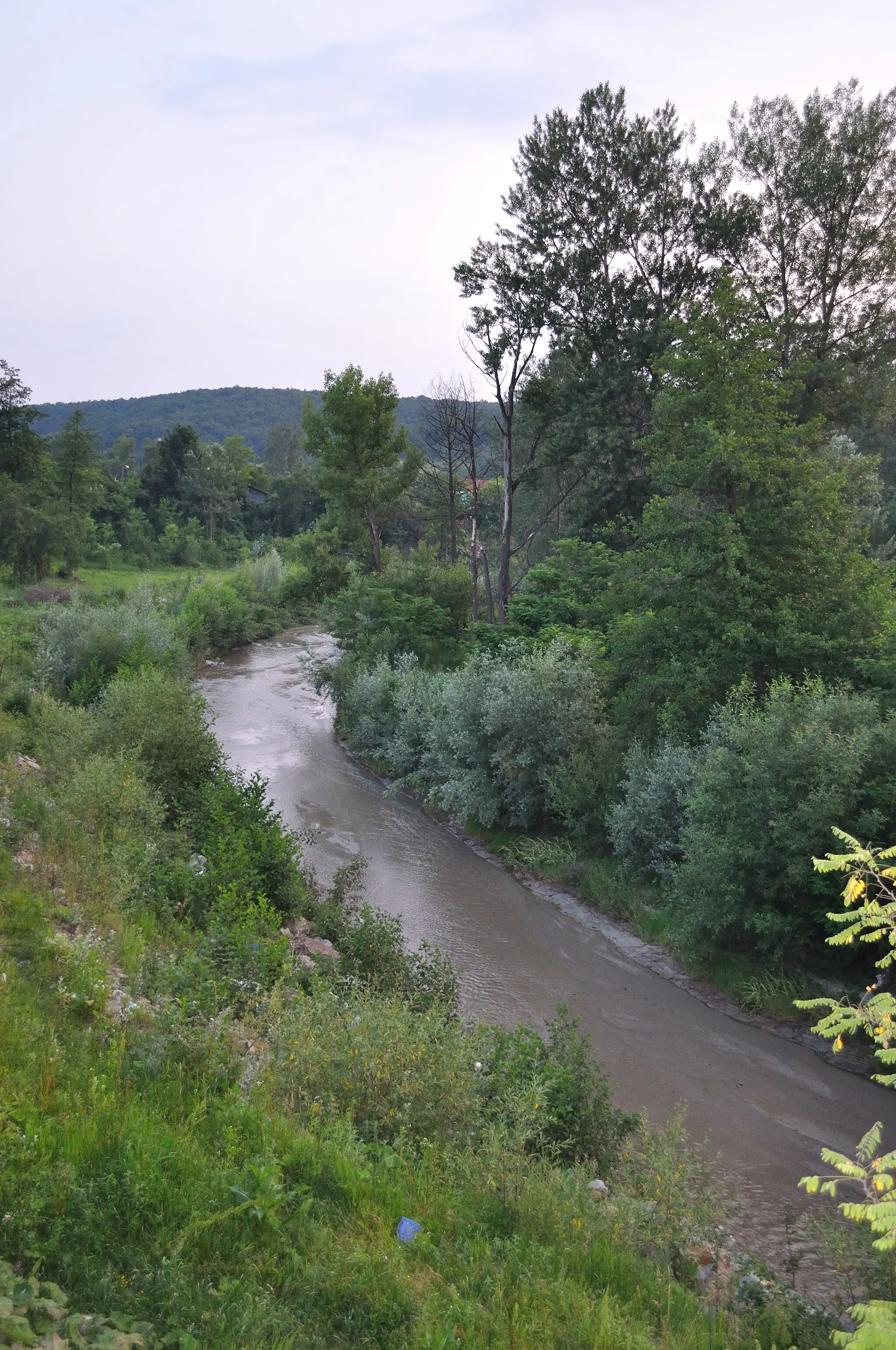 Photo showing: Râul Amaradia Pietroasă