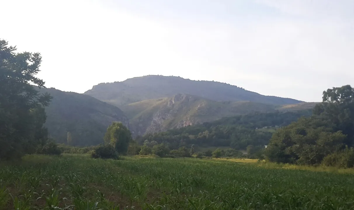 Photo showing: Corn filed near Runcu, Gorj, Romania.