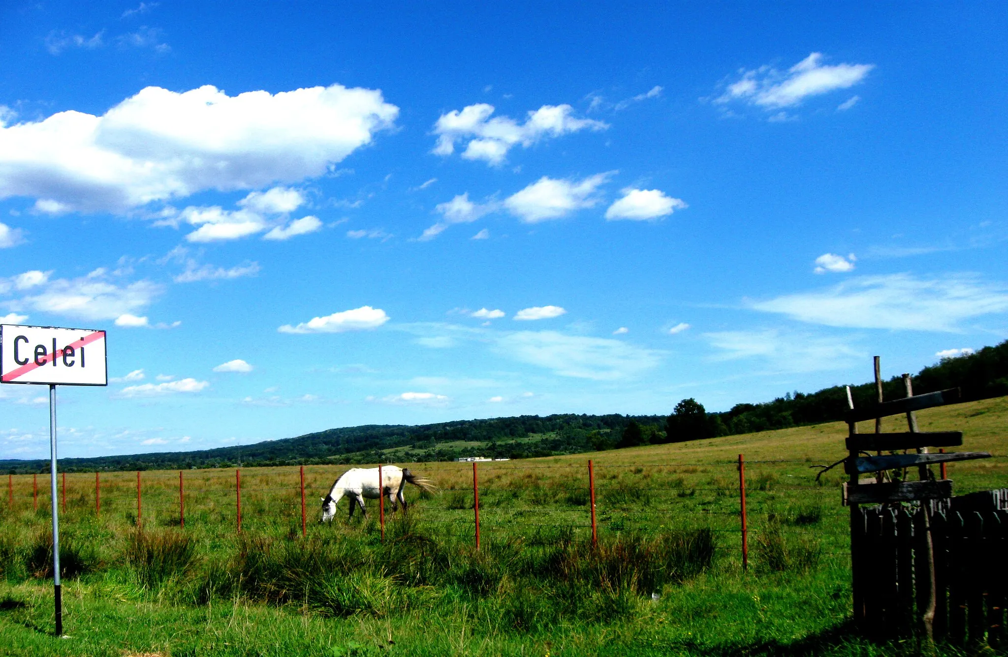 Photo showing: Horse pasture in Celei, the westernmost suburb of Tismana town, Romania.