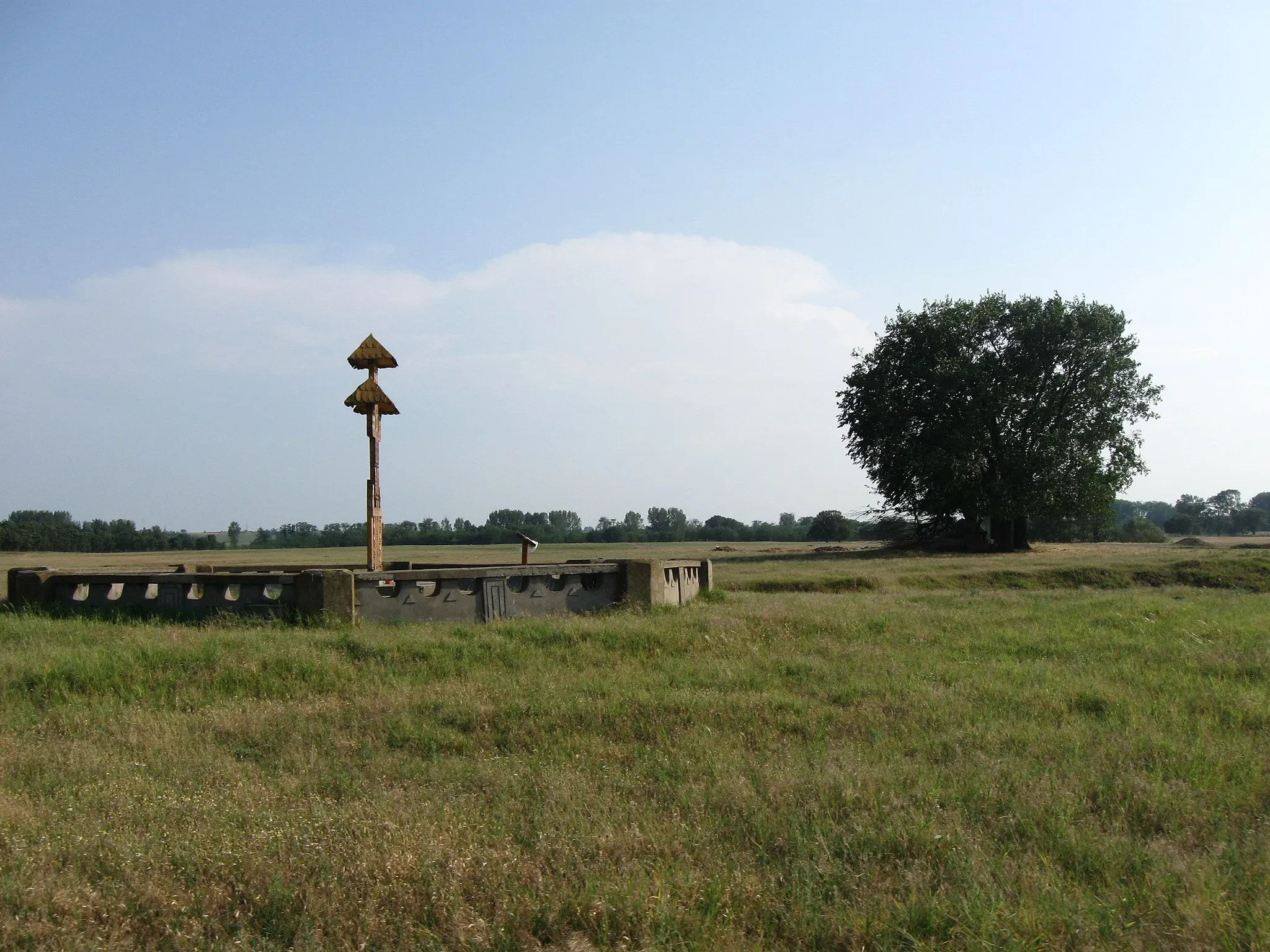 Photo showing: Site where the Romanian shepherd Petrache Lupu claimed to have met with God, on several occassions in 1935. Still revered by some Romanian Orthodox as a holy ground, it was the center of Charismatic worship for much of the interwar period. Located on the outskirts of Maglavit Commune, near Romania's border with Bulgaria, on the northern shore of the lower Danube. Author invokes de minimis on the inclusion of a landmark (votive cross) which may have been erected after 1990, given that Romania does not nominally allow "freedom of panorama", but noting that it would have been impossible to photograph the historical site without also including said monument.