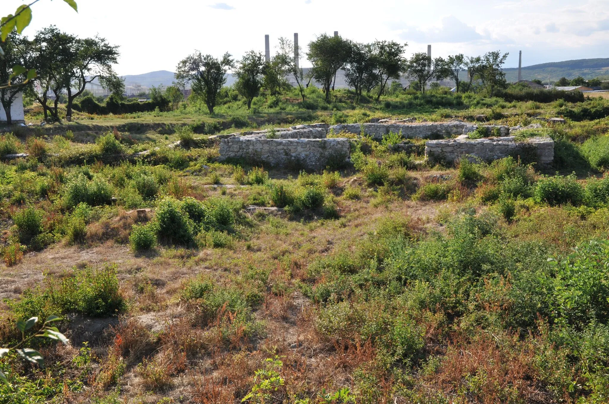 Photo showing: Castra Buridava from Stolniceni, Romania