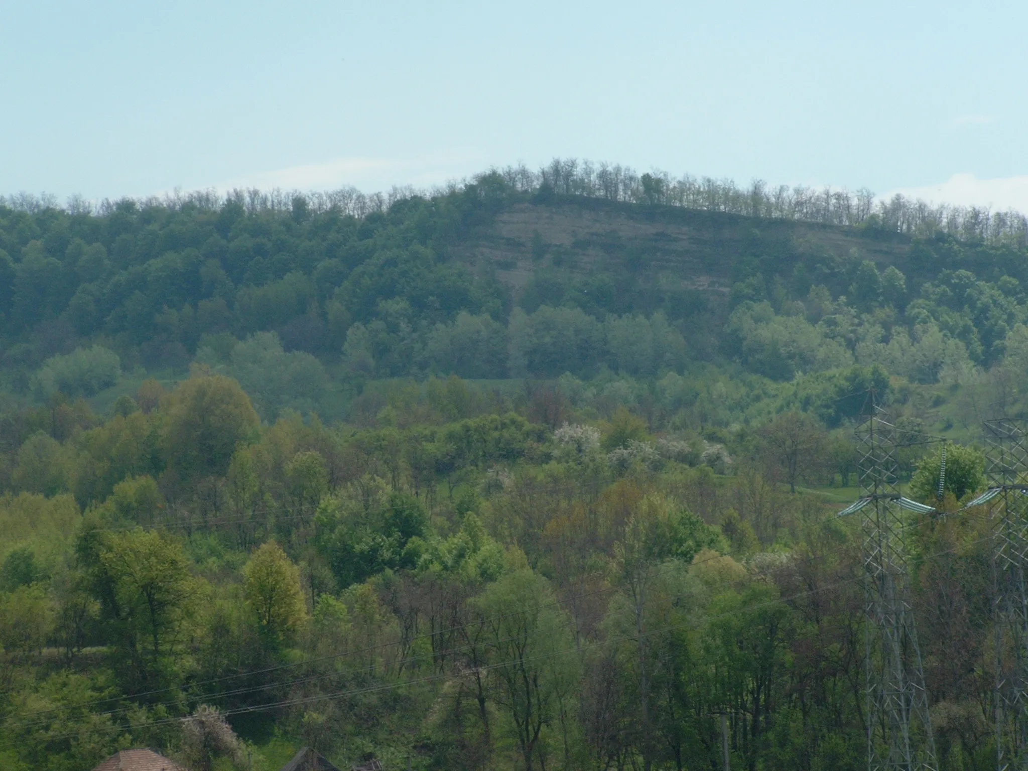 Photo showing: Depicted place: Foleștii de Jos