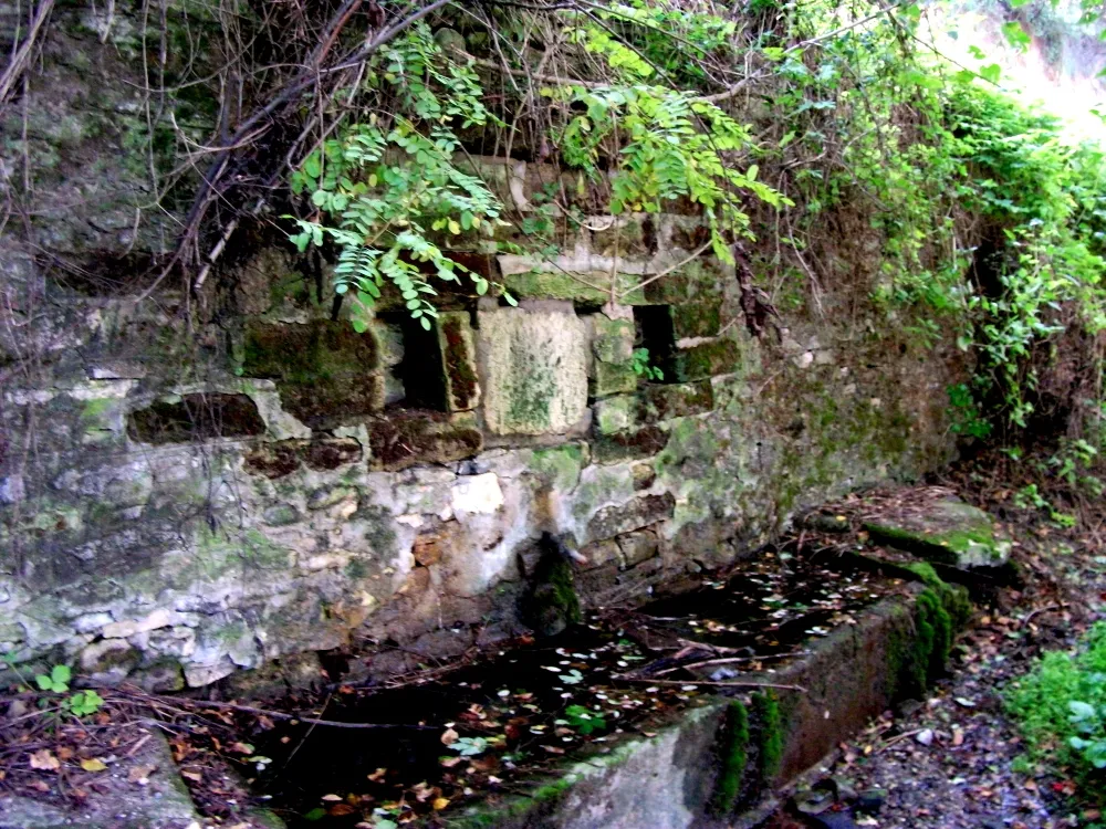 Photo showing: Mita's Fountain (Mitina česma), Brusnik, Serbia