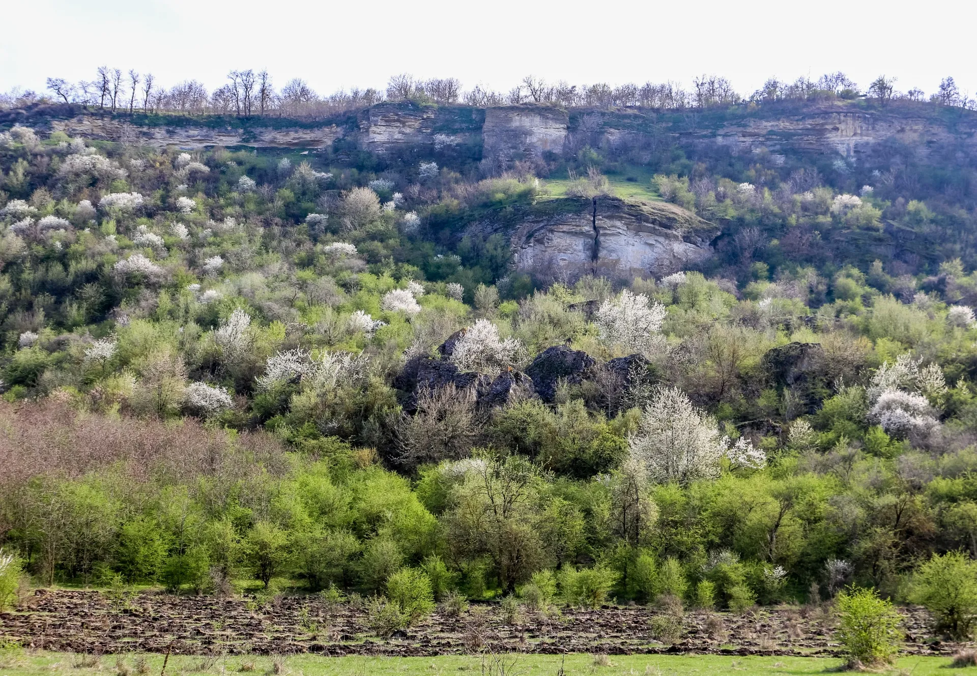 Photo showing: This is a photo of a natural heritage site in Moldova, id: