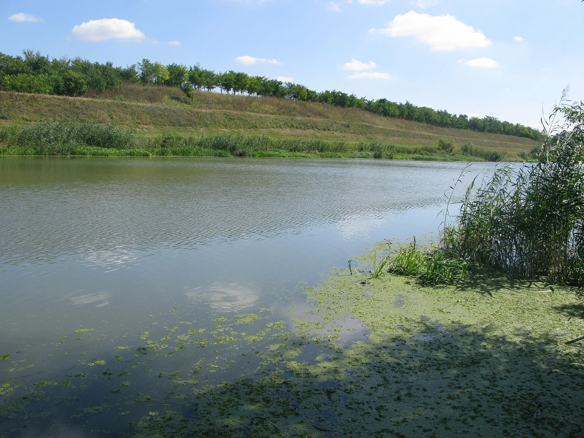 Photo showing: The DTD (Danube-Tisa-Danube) channel at village w:Vlajkovac in w:Vojvodina, w:Serbia.