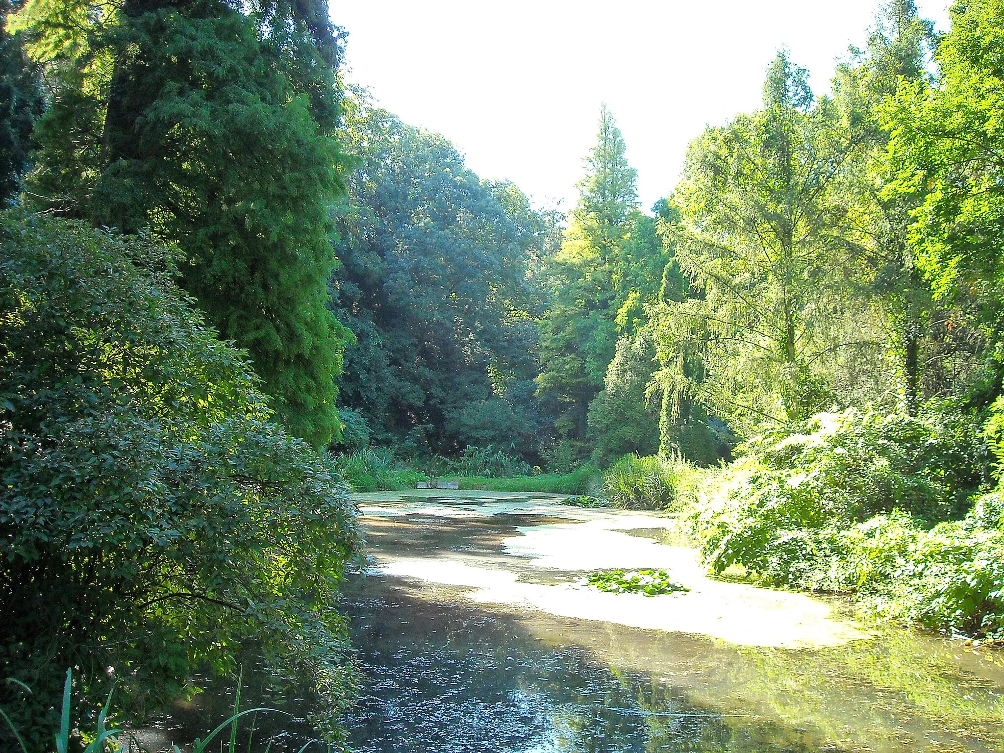 Photo showing: Simeria (Biscaria) Arboretum, Romania