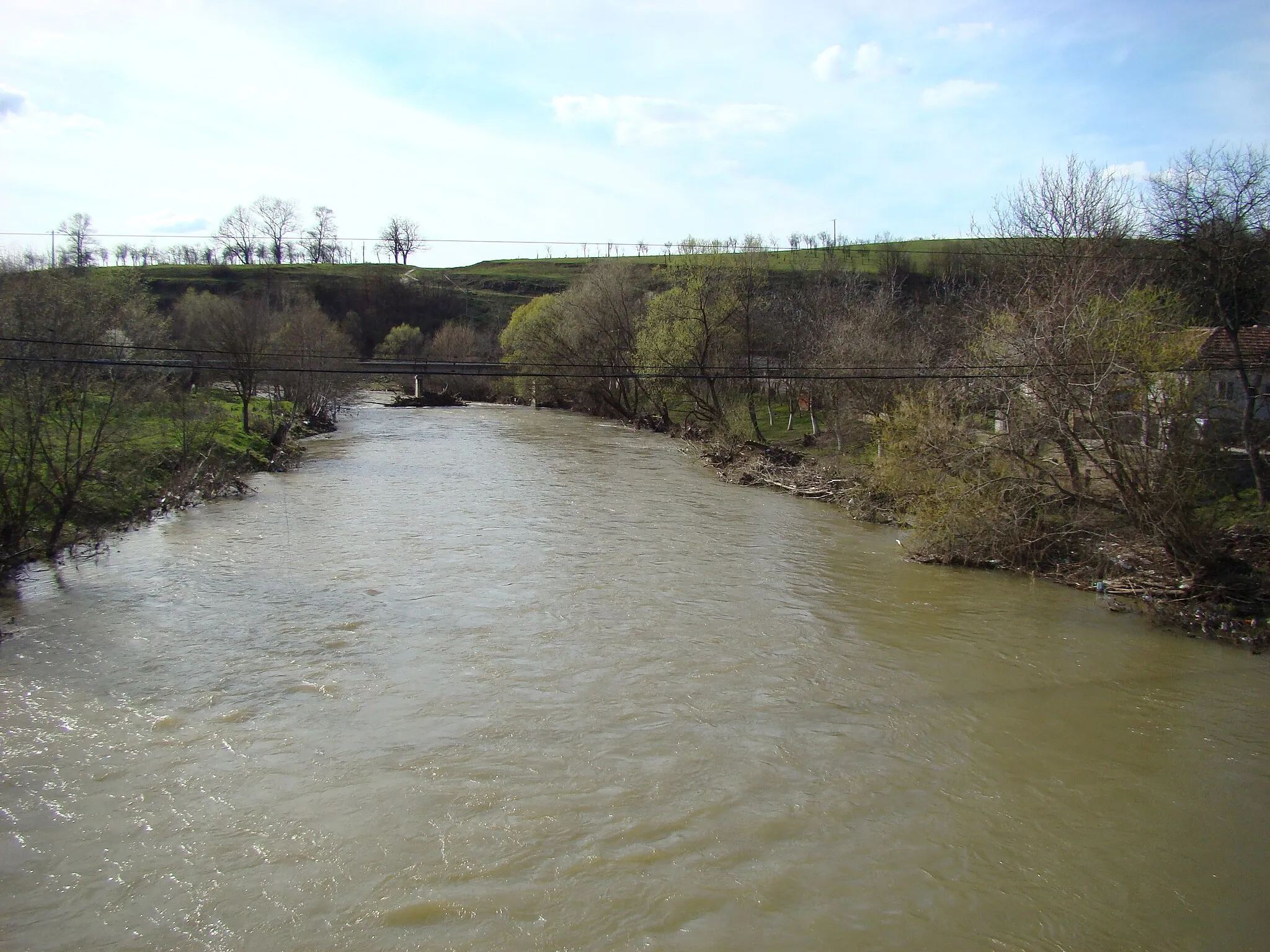 Photo showing: Crișul Alb la Gurahonț