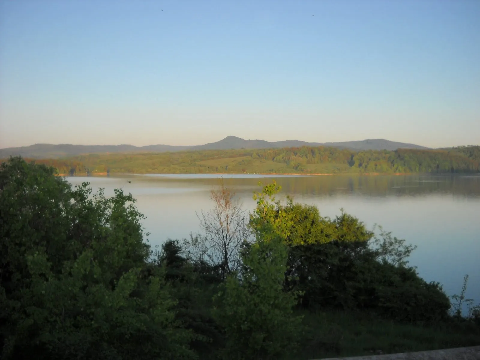 Photo showing: the Tauț Lake, an artificial lake in Romania