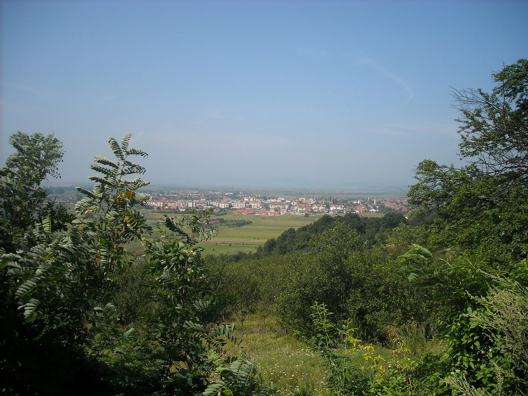 Photo showing: landscape of the town of Haţeg in Romania