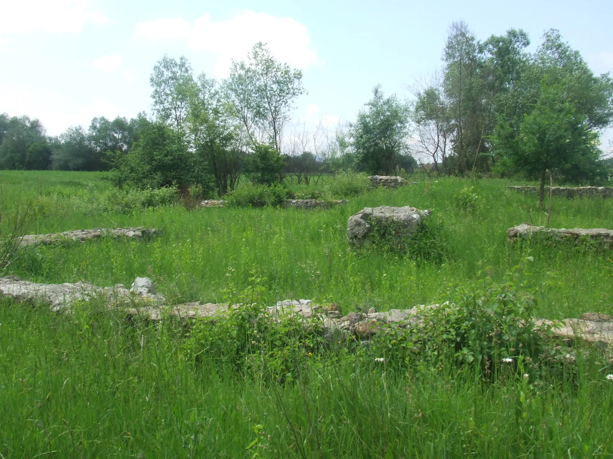 Photo showing: Cetatea medievală de la Făget