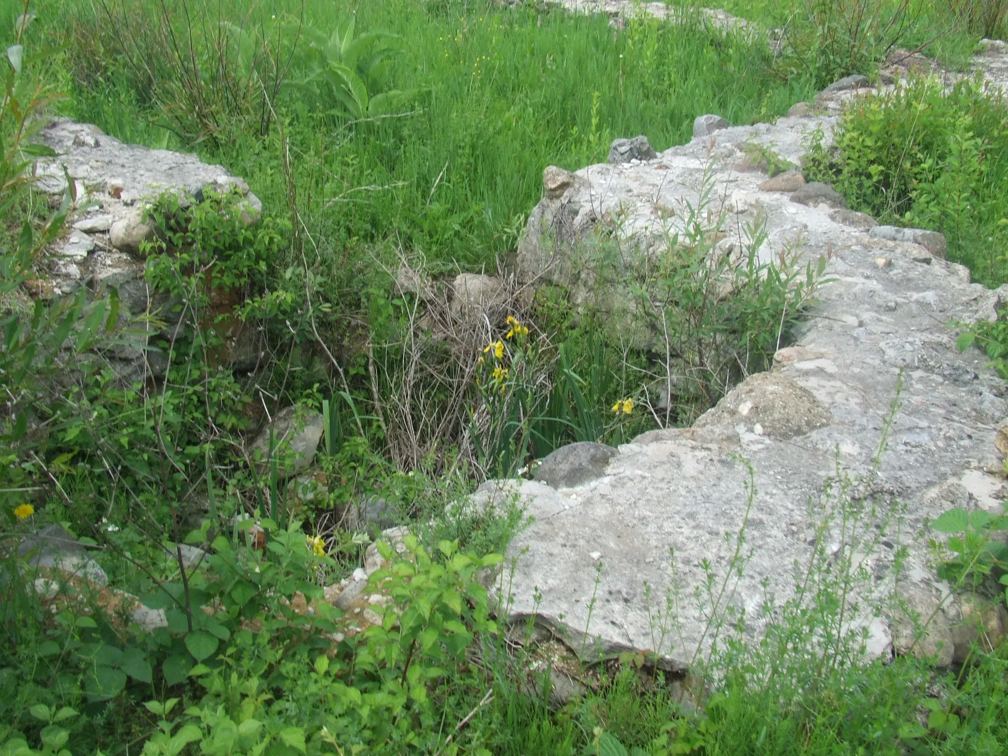 Photo showing: Cetatea medievală de la Făget