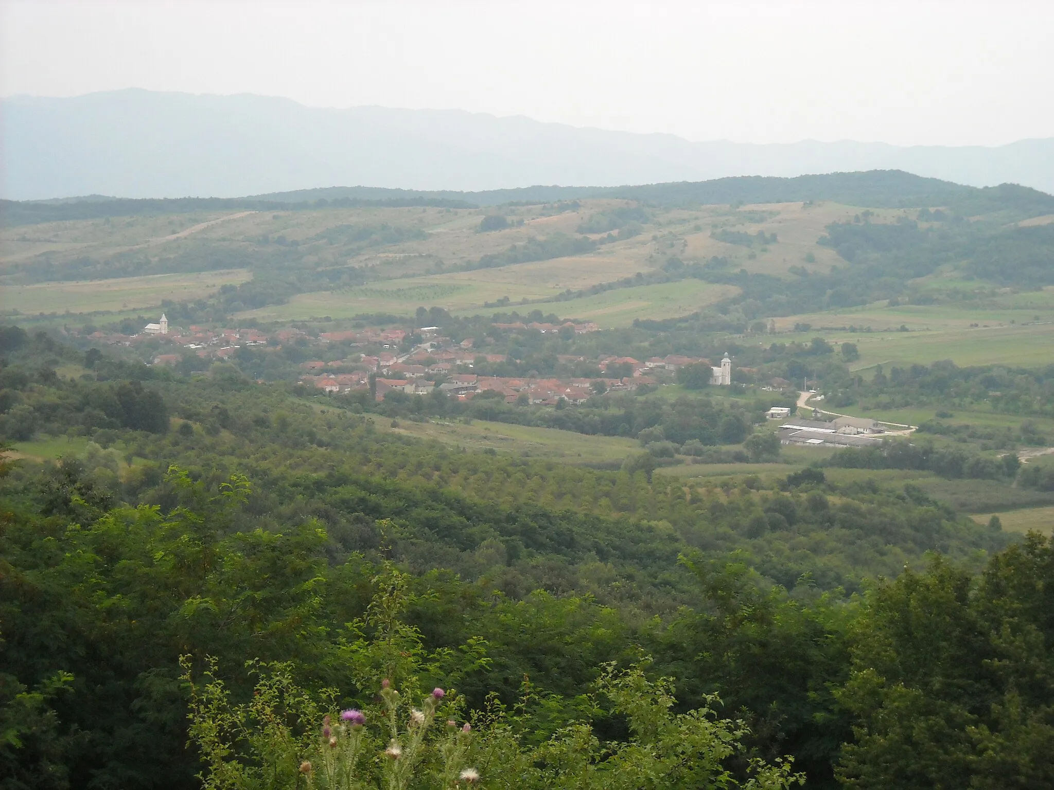 Photo showing: landscape with Silvașu de Jos village, Romania