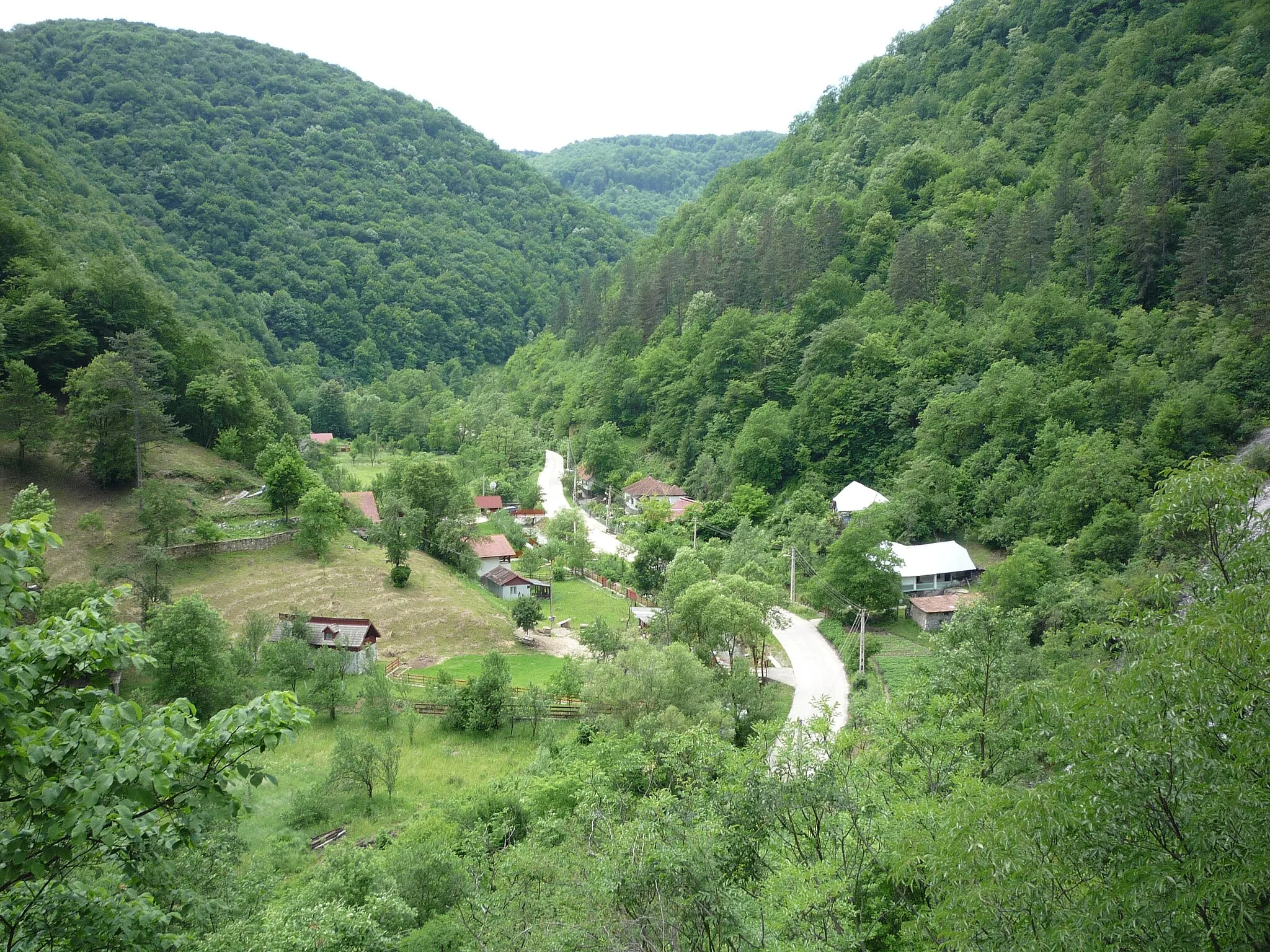 Photo showing: view towards Govăjdia