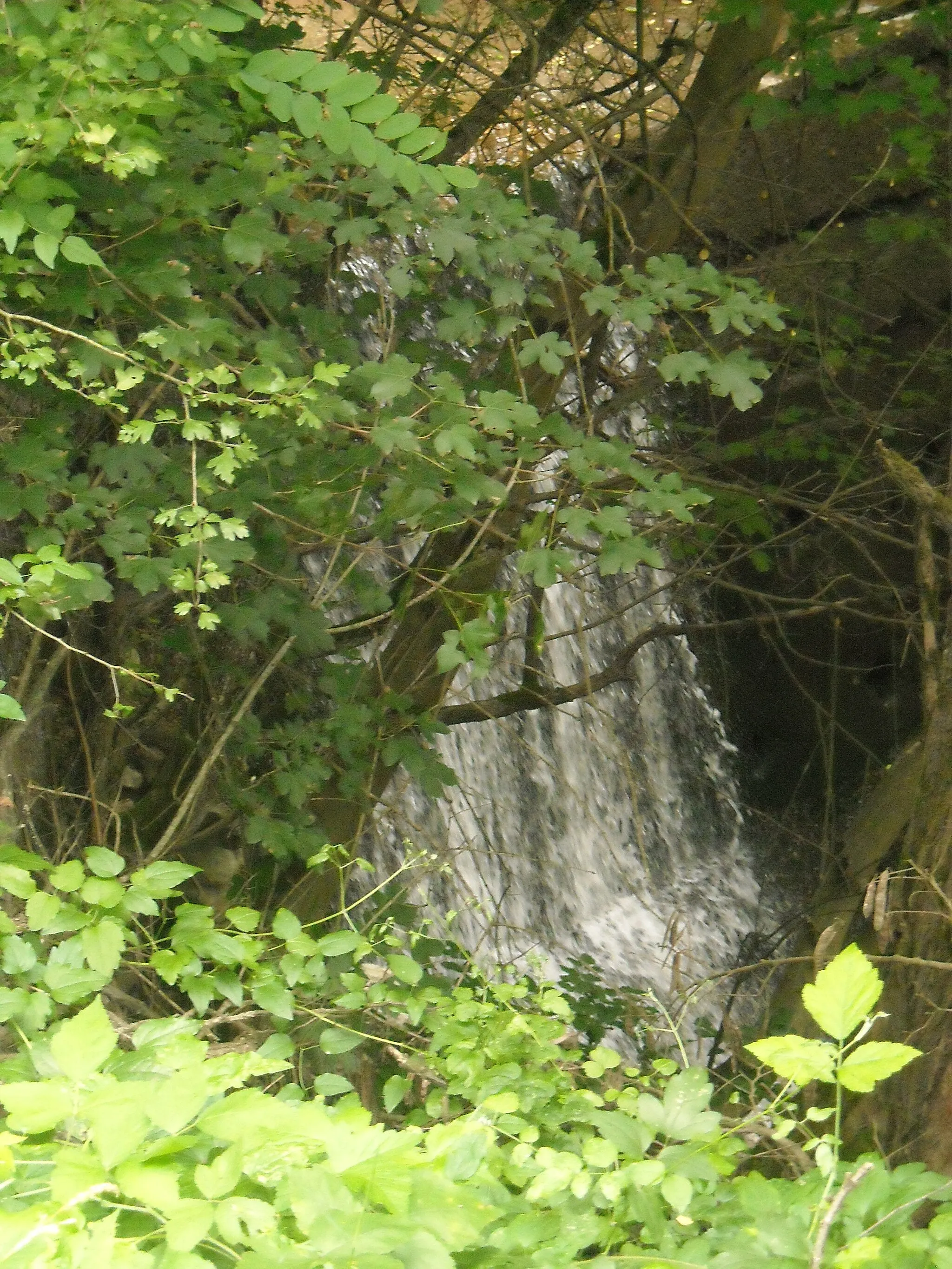 Photo showing: a waterfall near Banpotoc village in Romania