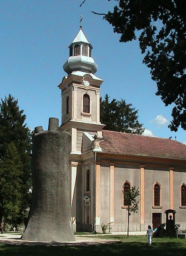 Photo showing: Sessile oaks of Horea and of Heroes of Liberty, Țebea, Hunedoara, 2009