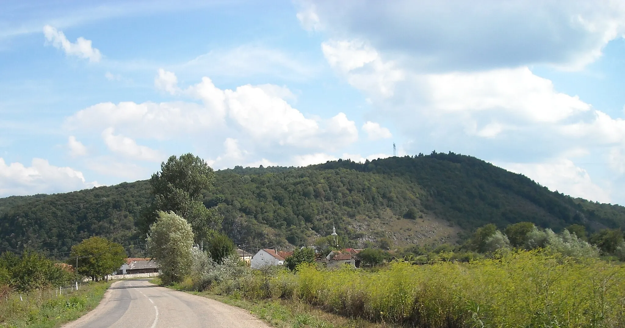 Photo showing: view of Căprioara village, Arad county, Romania