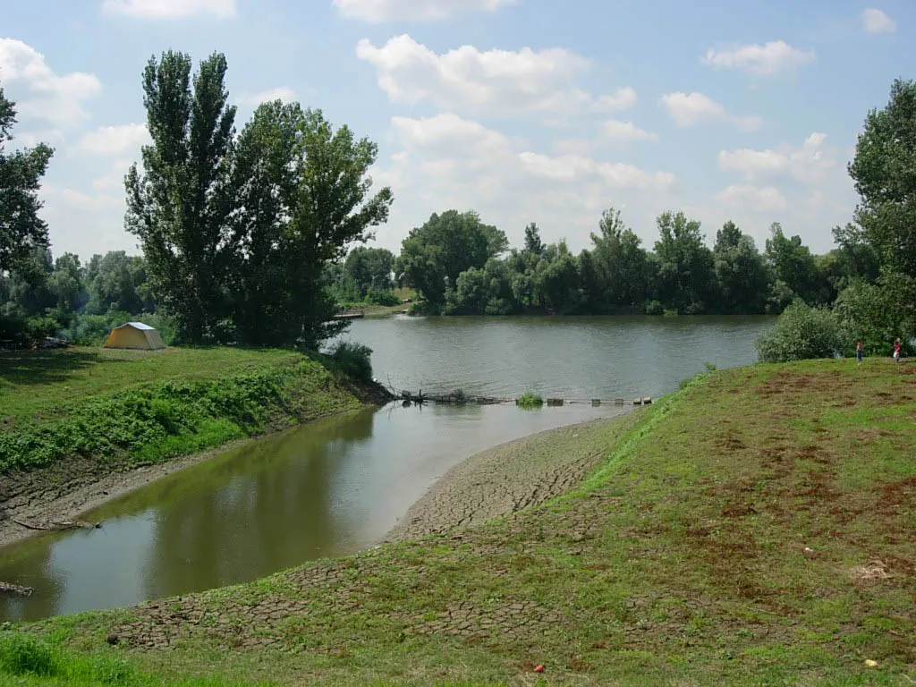 Photo showing: This is the place near Padej where Zlatica River meets Tisa River.