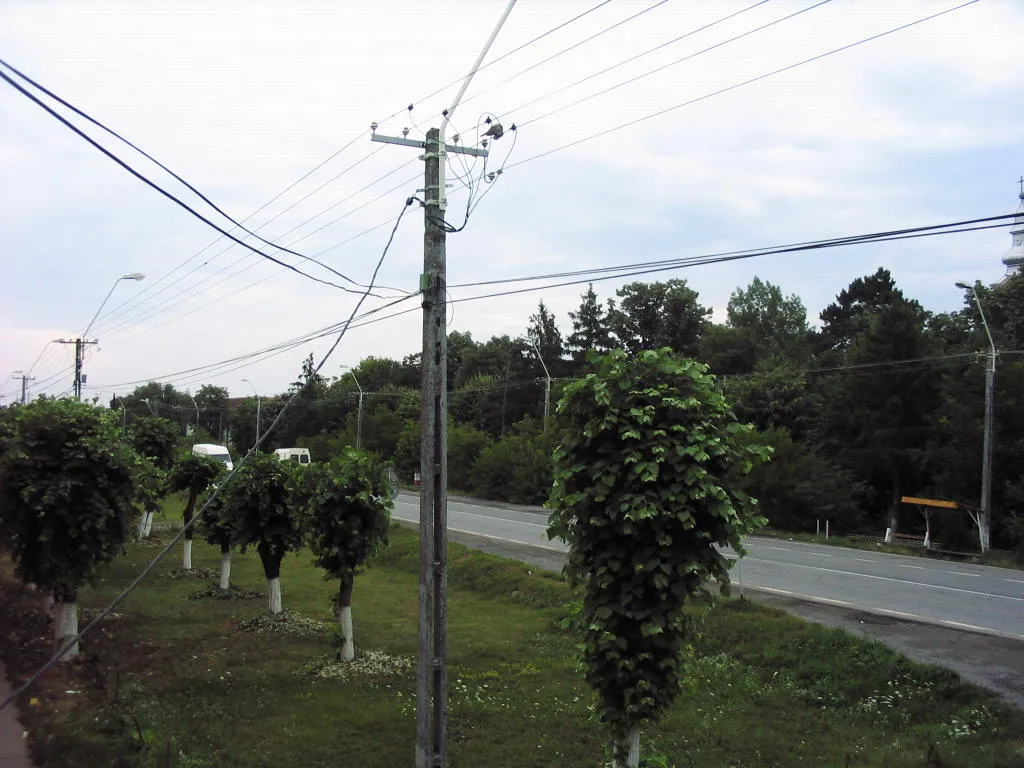 Photo showing: Orțișoara 307305, Romania