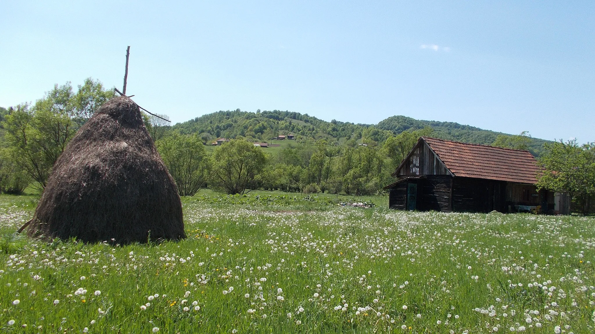 Photo showing: Lunca Cernii de Sus, Hunedoara County, Romania