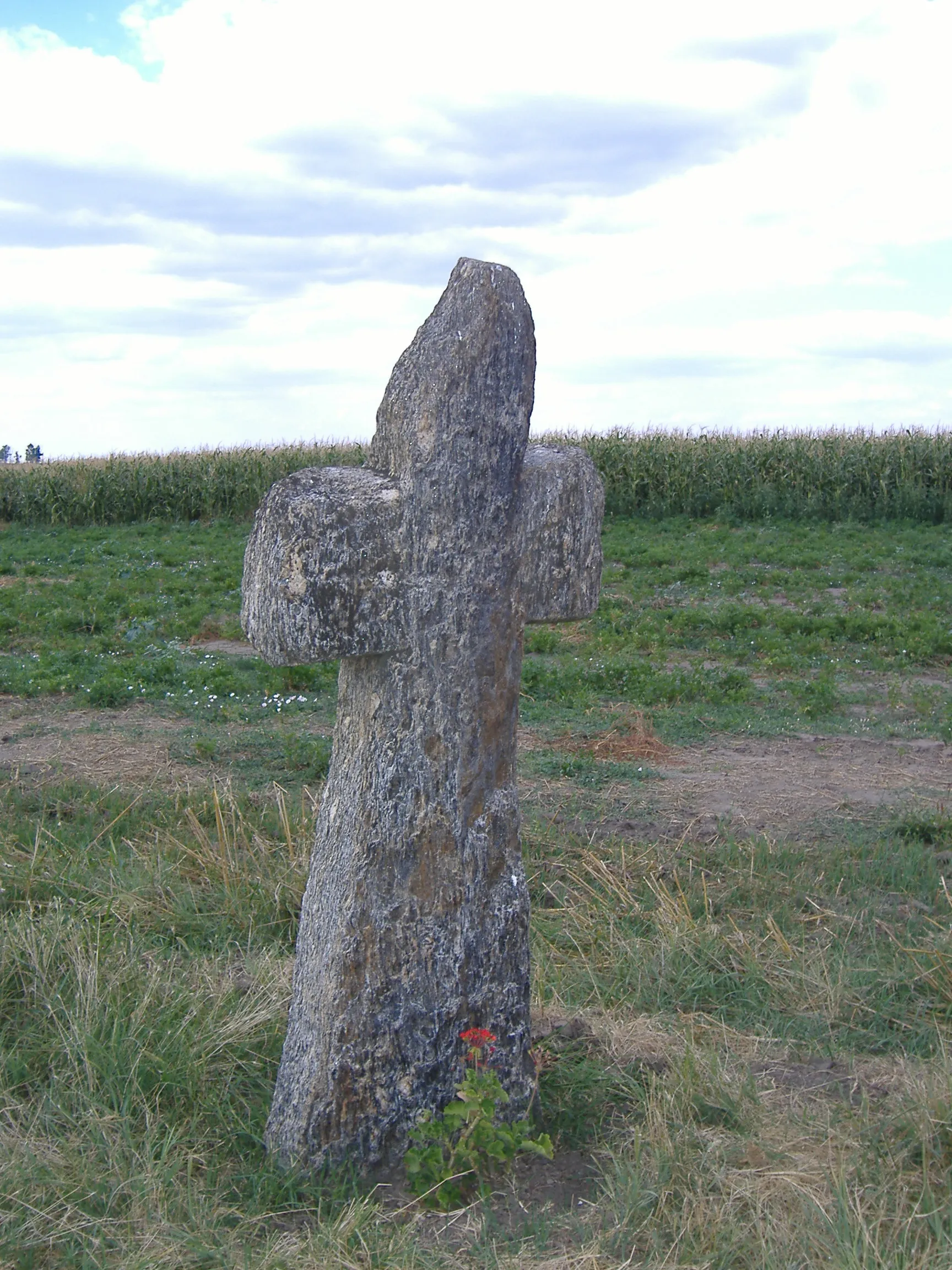 Photo showing: Kunkereszt ("Cuman cross") in Belez, periphery of Magyarcsanád, Hungary. According to local legends it is claimed to be the cross of Ladislaus IV of Hungary, altought sources show this cross marks the place, where György Dózsa killed the bishop of Csanád diocese.