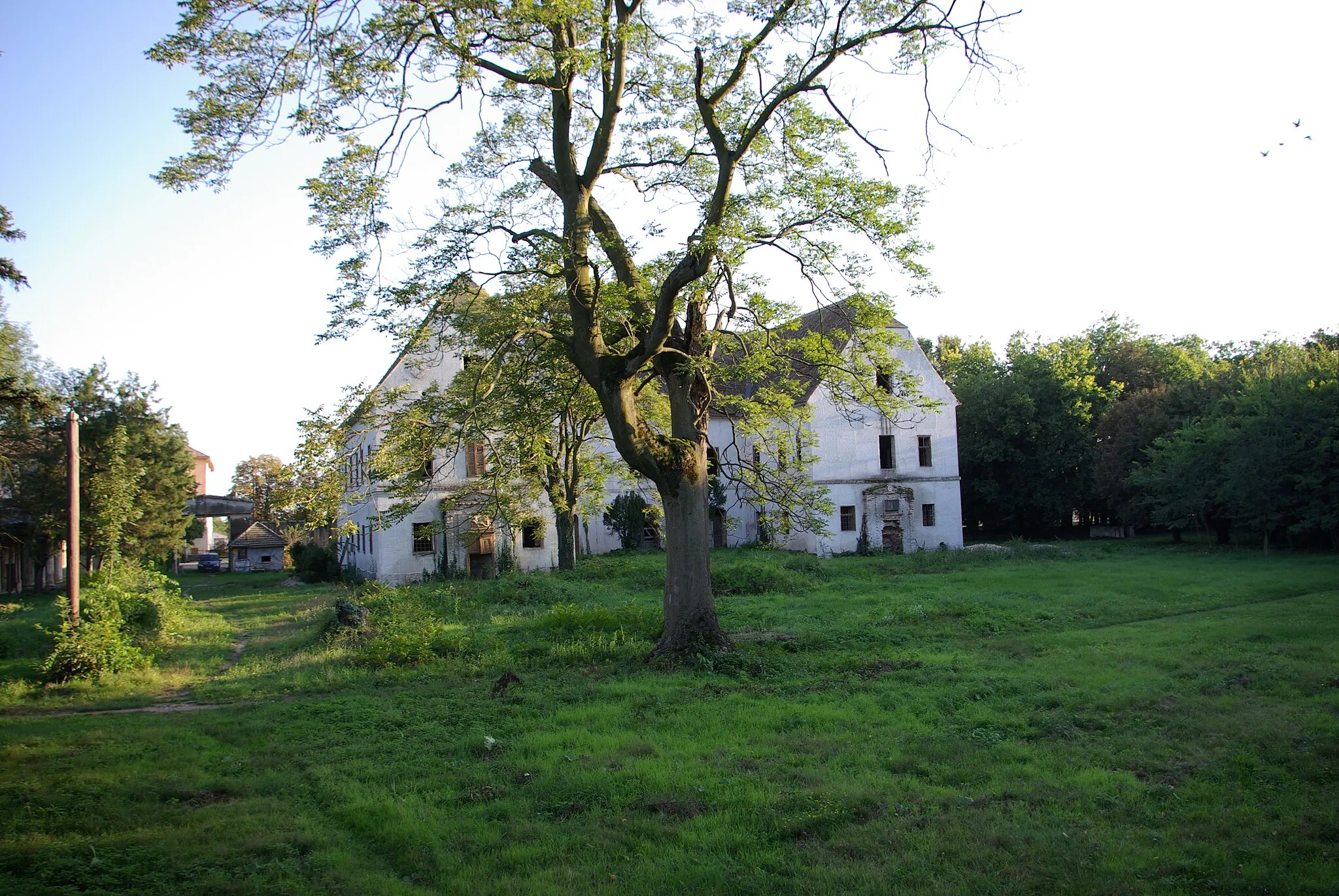 Photo showing: Castelul/Conacul Banloc, 2007