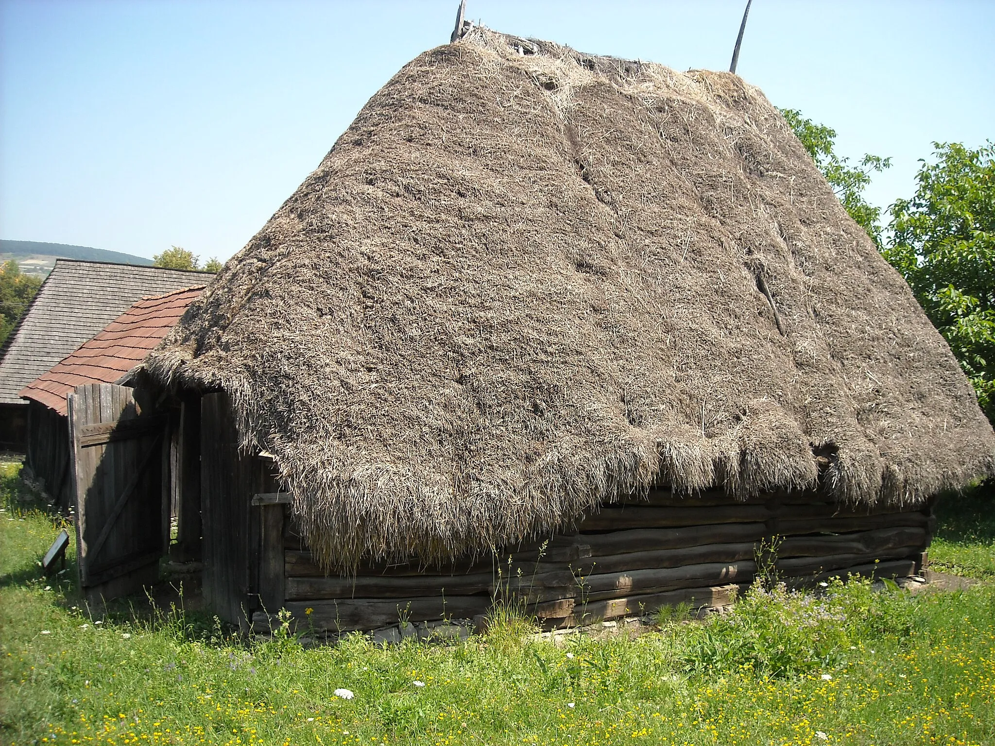 Photo showing: mid-18th-century oil press from Almașu Mare village, in the open-air section of the Ethnographic Museum of Transylvania